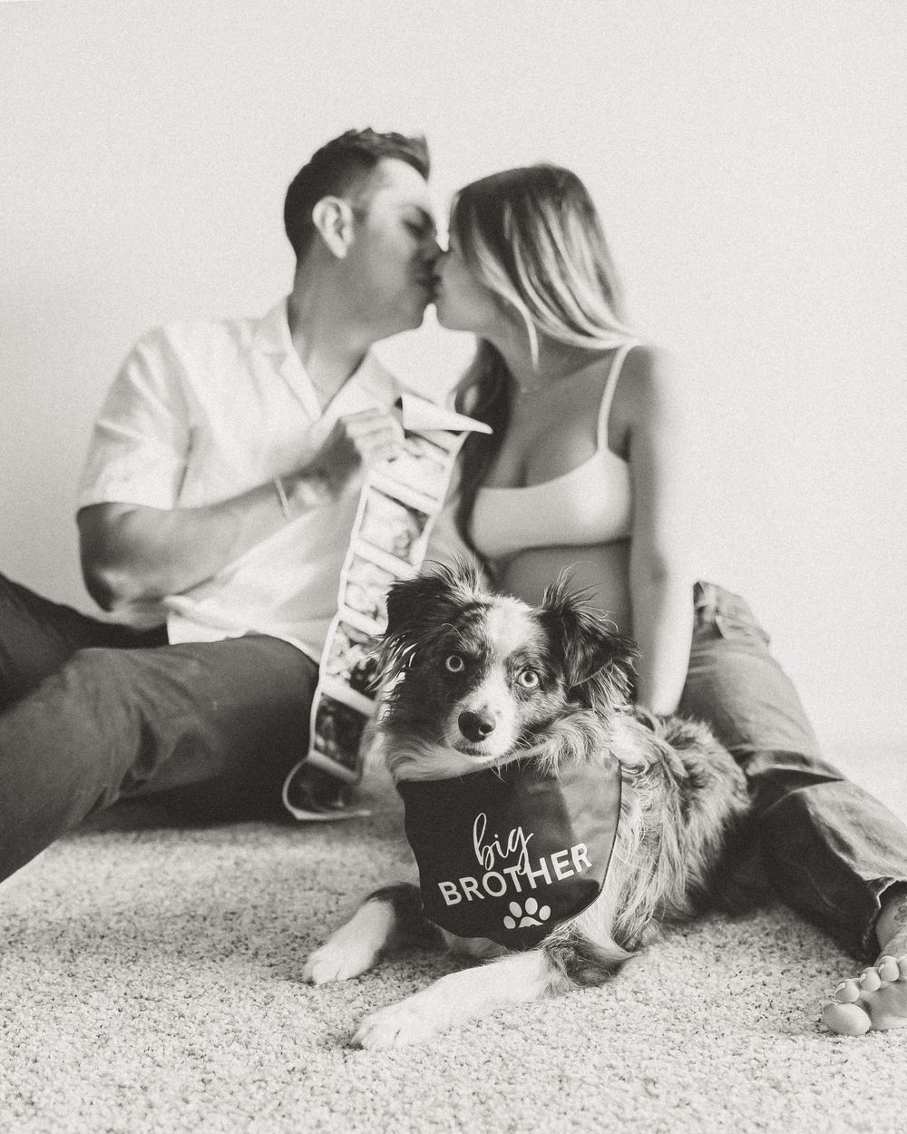 Black and white photo series with a dog and pregnancy announcement sign on carpet.