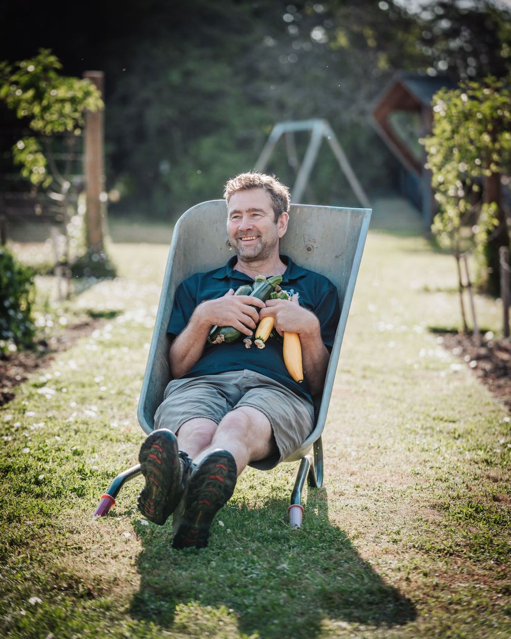 Happy man sitting in a wheelbarrow holding vegetables in a sunny garden with a swing set.