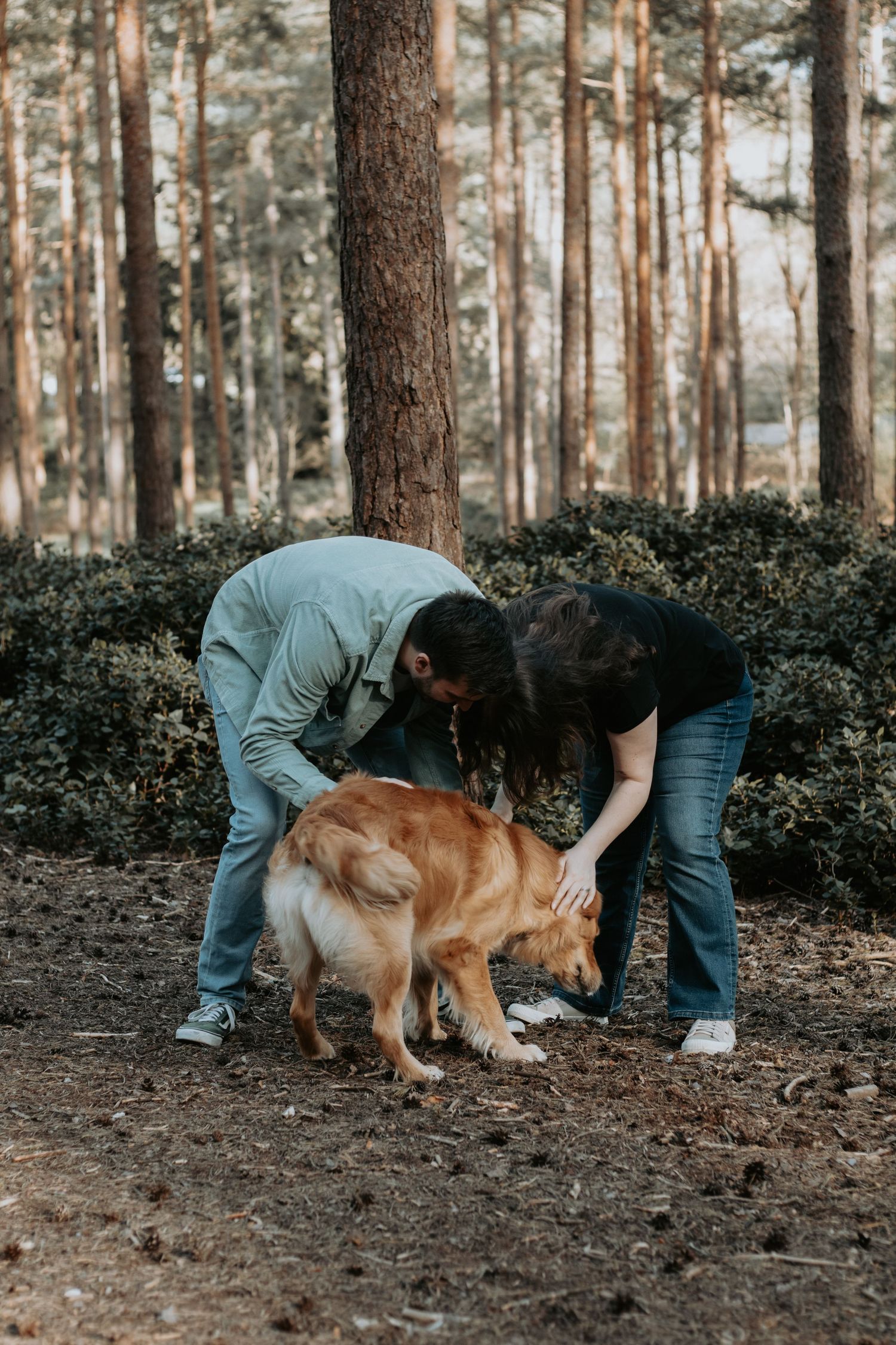 Two people petting a golden dog in a pine forest, enjoying an outdoor adventure with their pet.