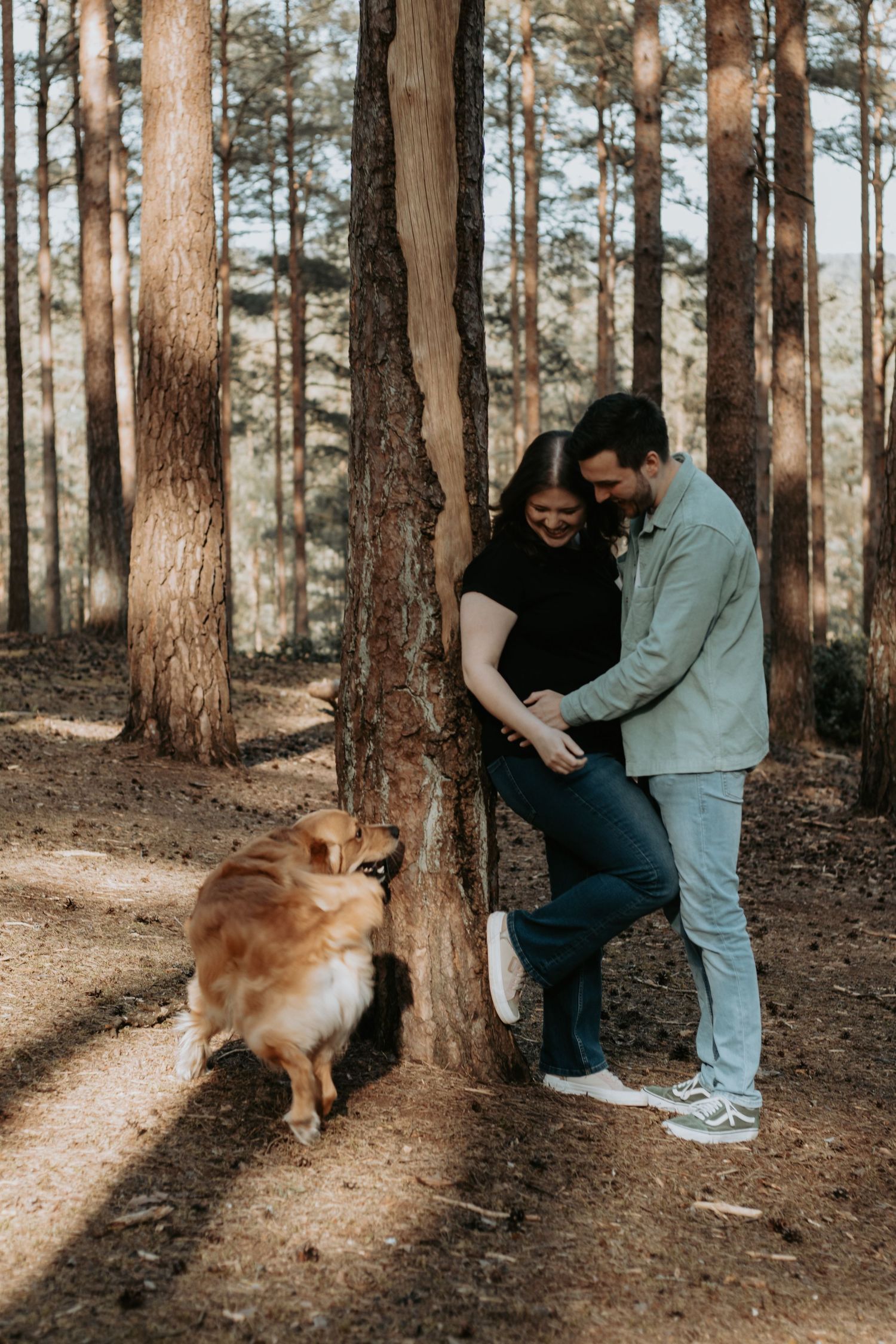 Couple smiling at pregnant belly leaning against pine tree in sunlit forest with a fluffy golden dog nearby.