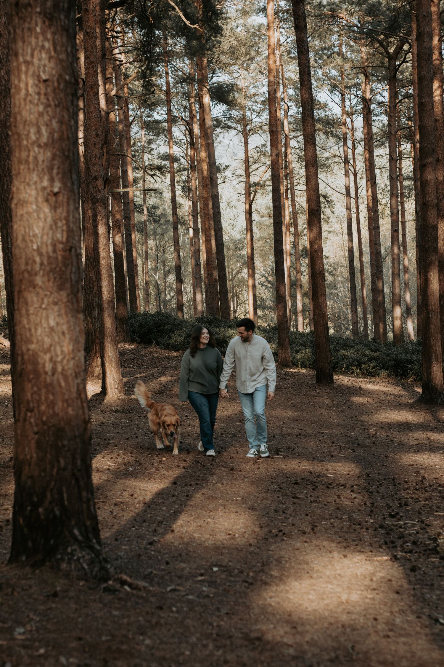 Couple walking a golden retriever dog on a forest trail surrounded by tall pine trees in autumn light.