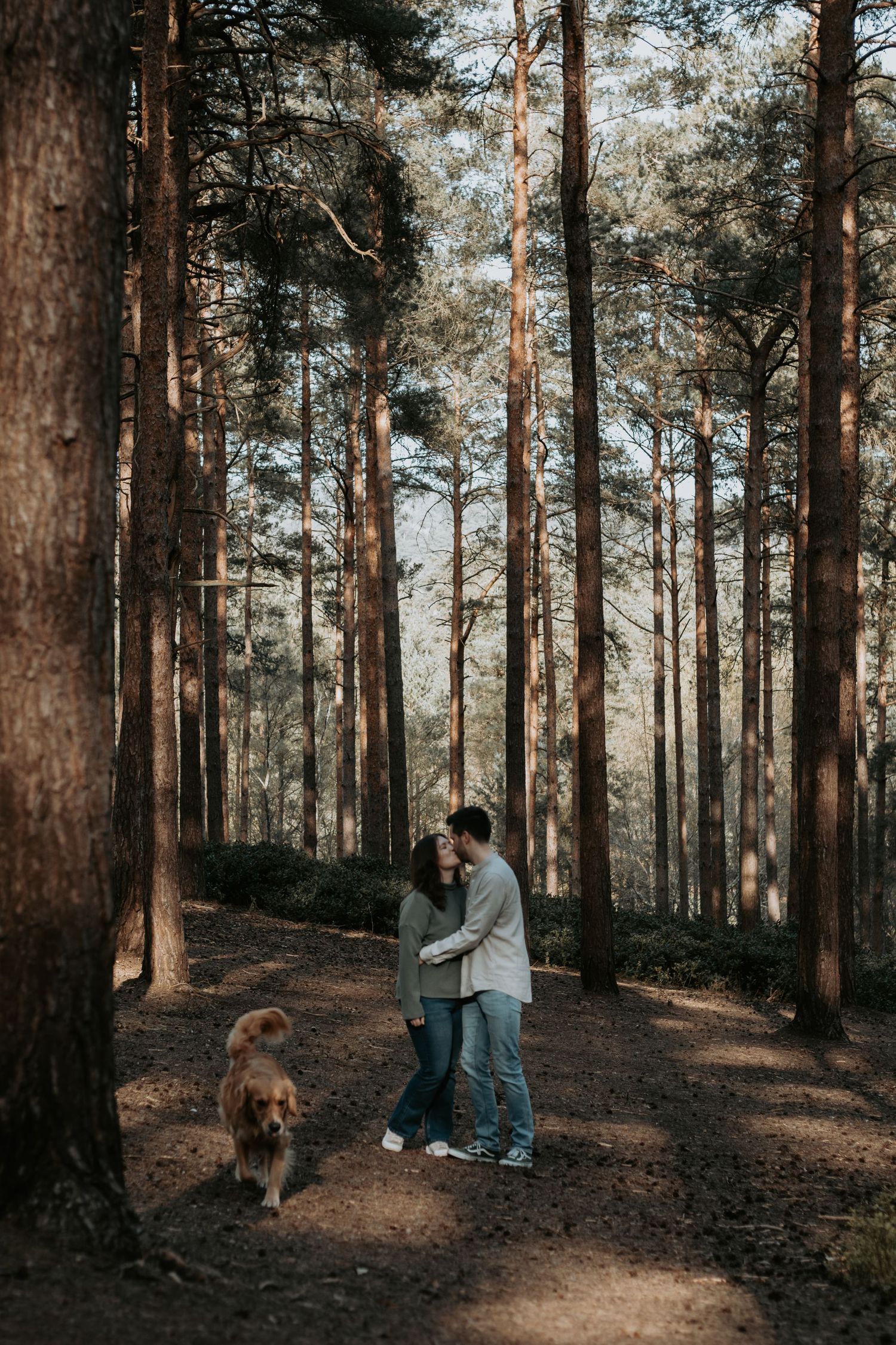 Couple embracing in a sunlit pine forest with a golden retriever dog on a romantic outdoor walk.