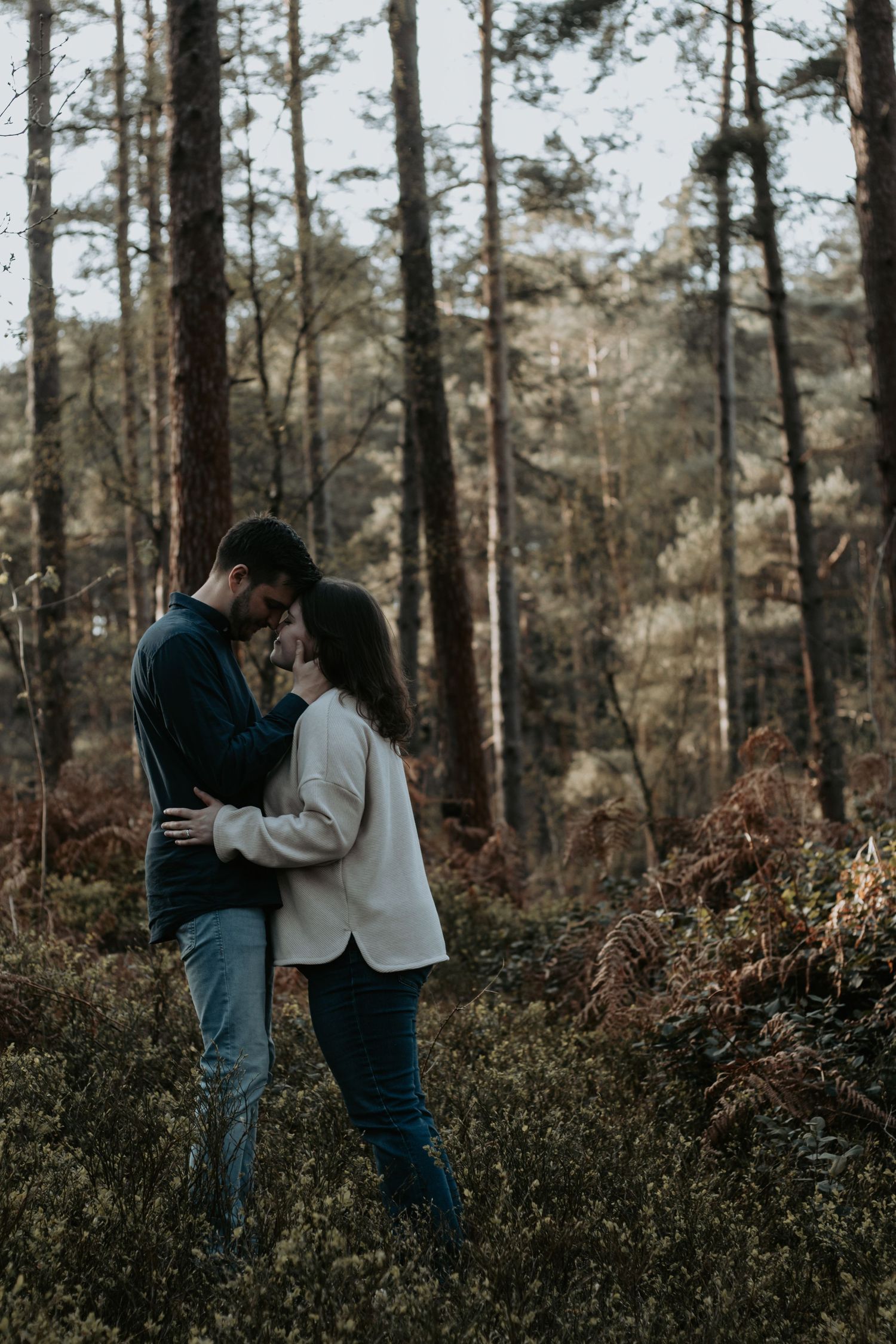 A couple embraces romantically in a forest setting, surrounded by tall pine trees and autumn ferns.