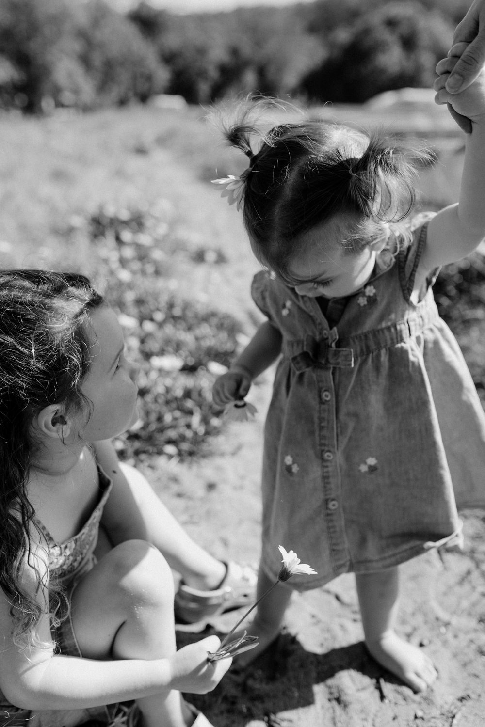 Black and white photo of a young girl kneeling to show a flower to a toddler outdoors.