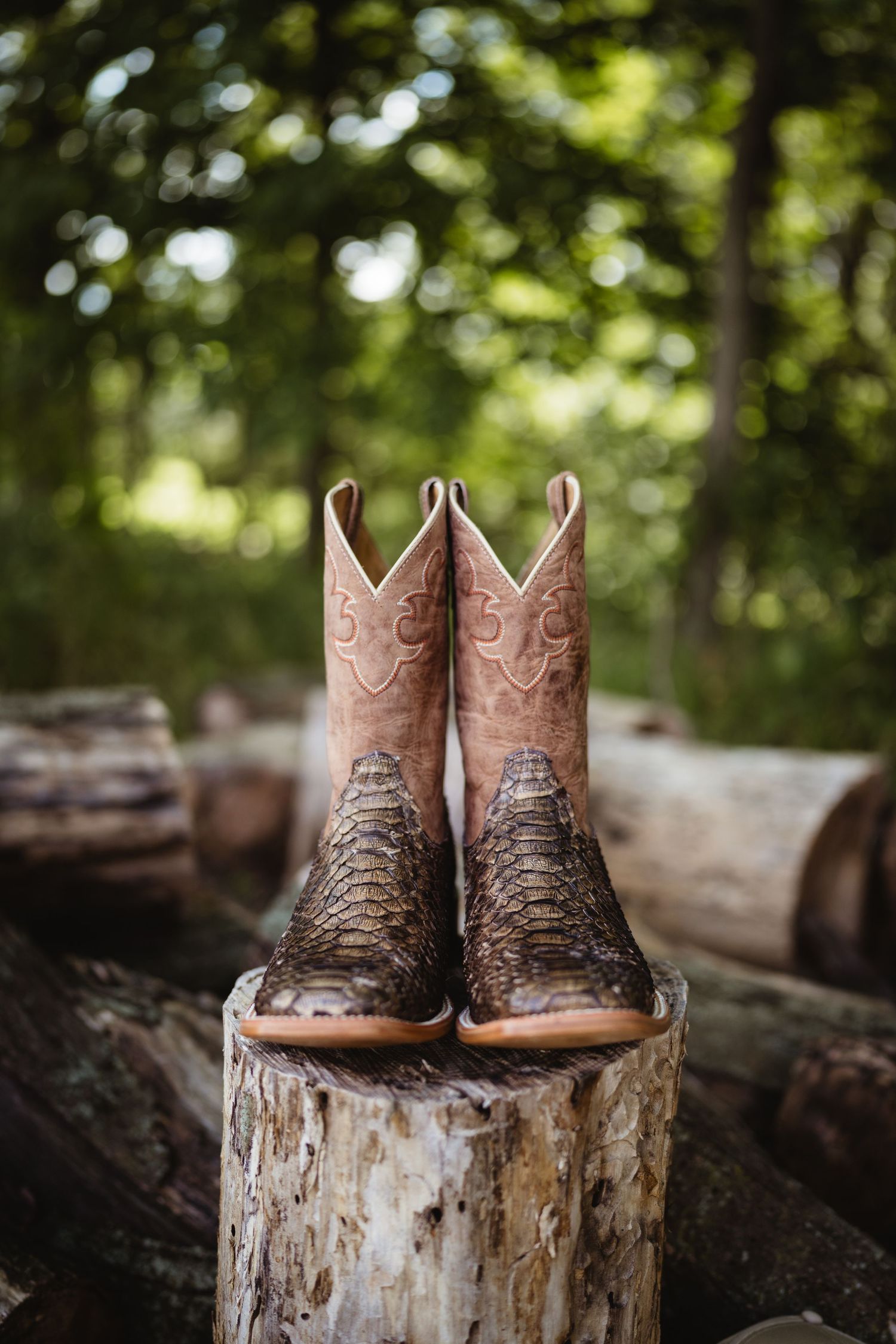 Exotic python skin cowboy boots with pink tops displayed on a tree stump in a lush green forest setting.
