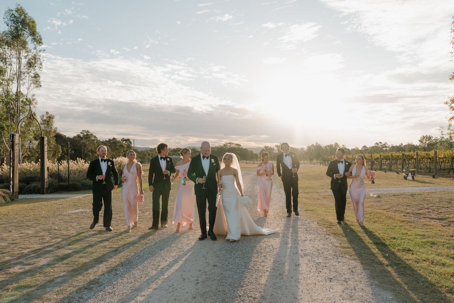 Wedding party walking on a gravel path through a vineyard at golden hour sunset in Australia.