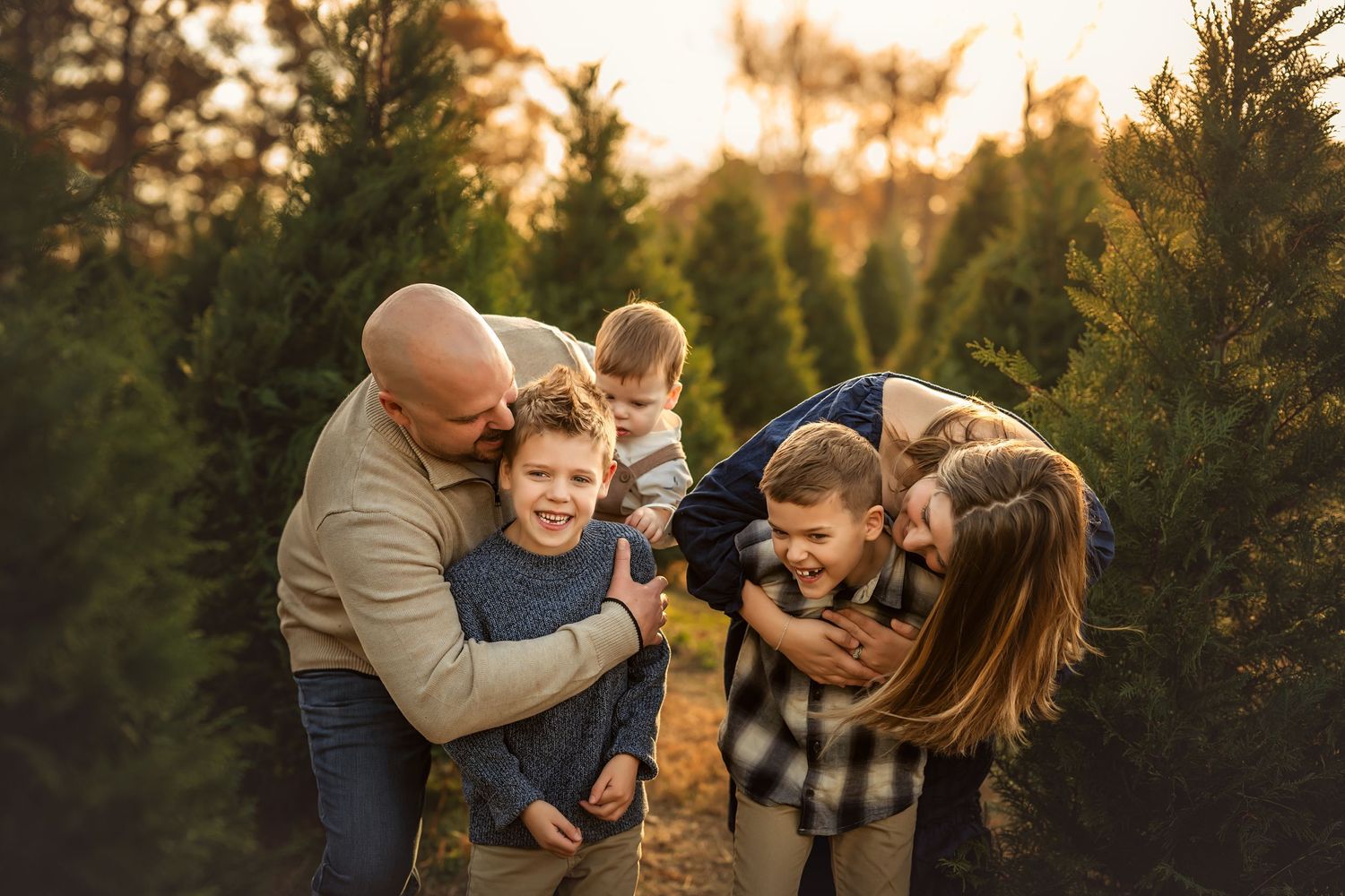 Family laughing together at a Christmas tree farm during golden hour, parents hugging three young boys among evergreen trees.