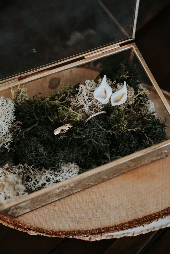 Mariage à la Roquebrussanne dans le sud de la France, Brignoles, Hyères
