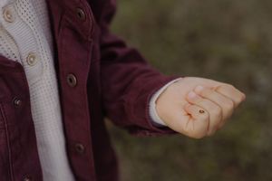 Close-up of a child's hand in a burgundy jacket holding a tiny ladybug outdoors.