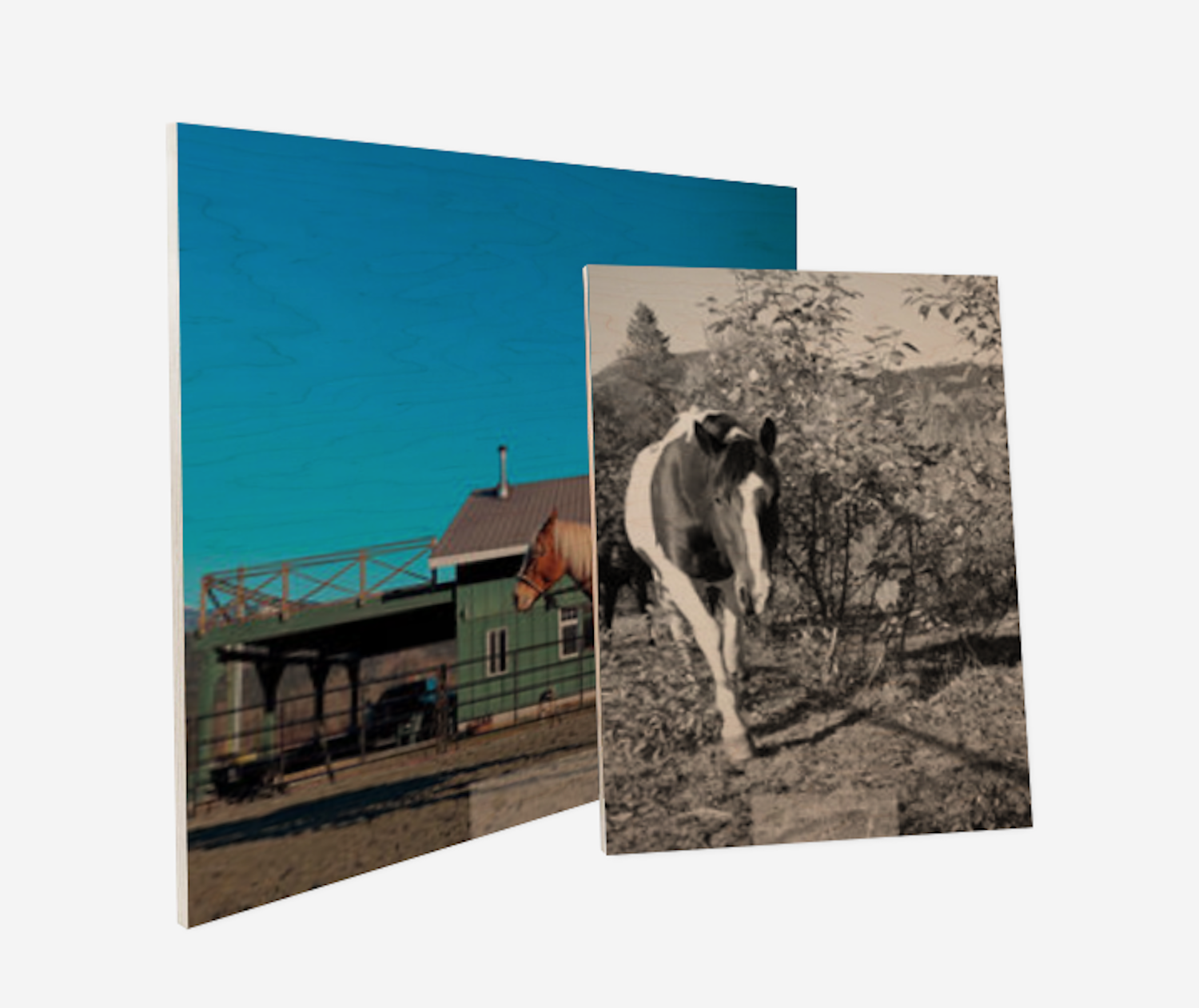 Wood Print Order Online Horse Photos