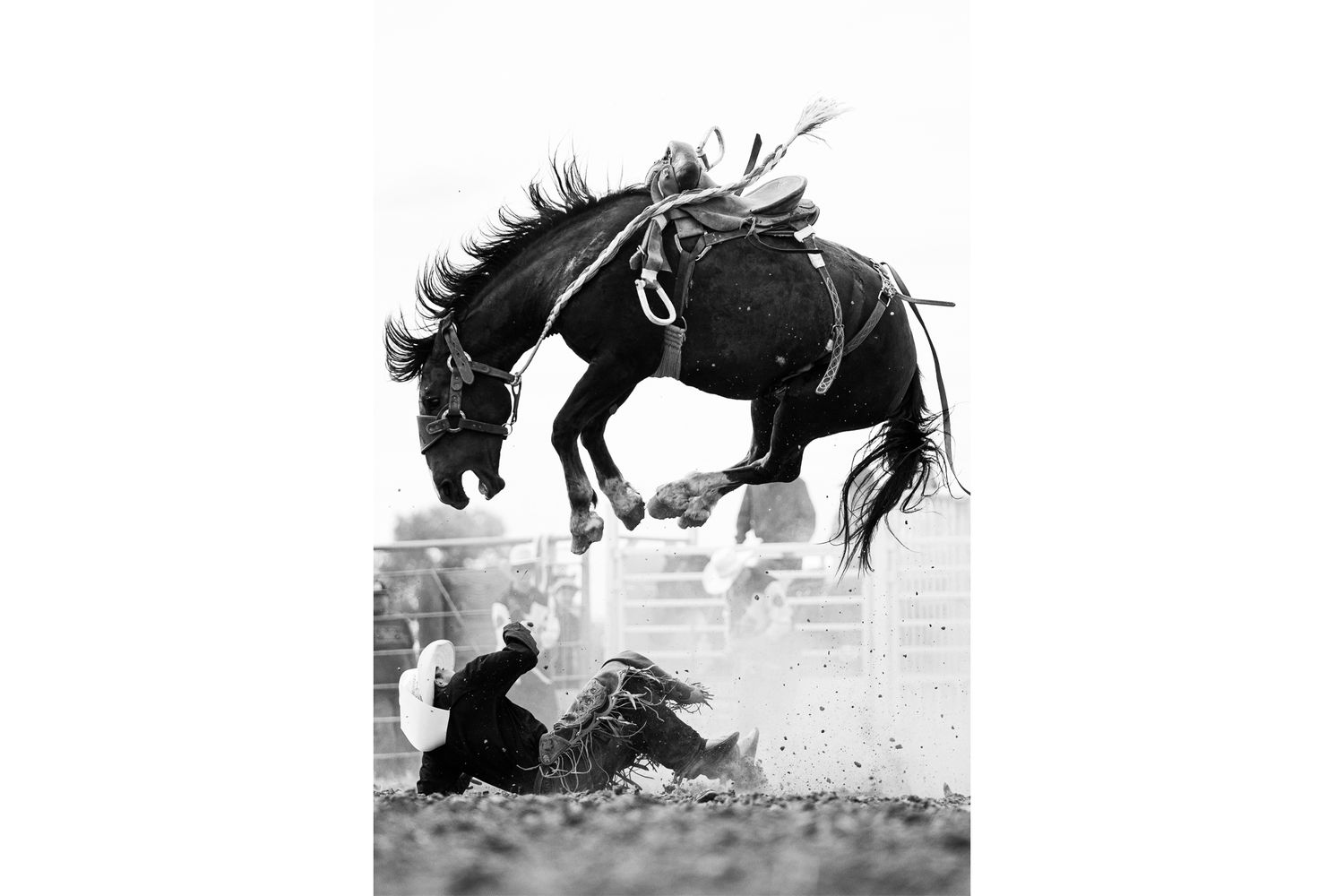 Bronc bucking over a cowboy who is lying down on the ground, looking up at it