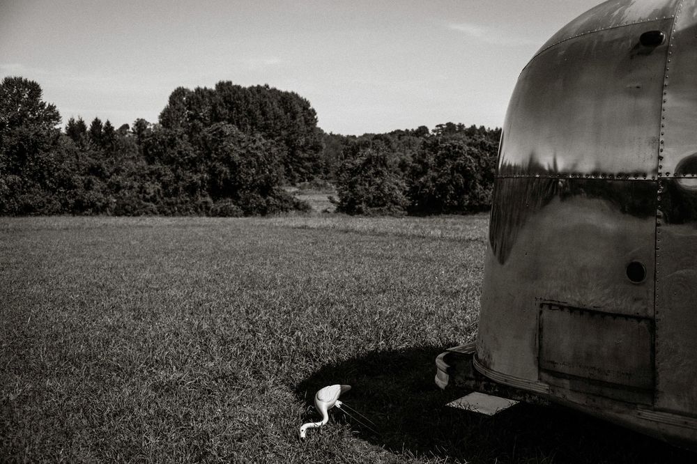 Black and white photo of a cat resting under a vintage Airstream trailer in a lush green field.