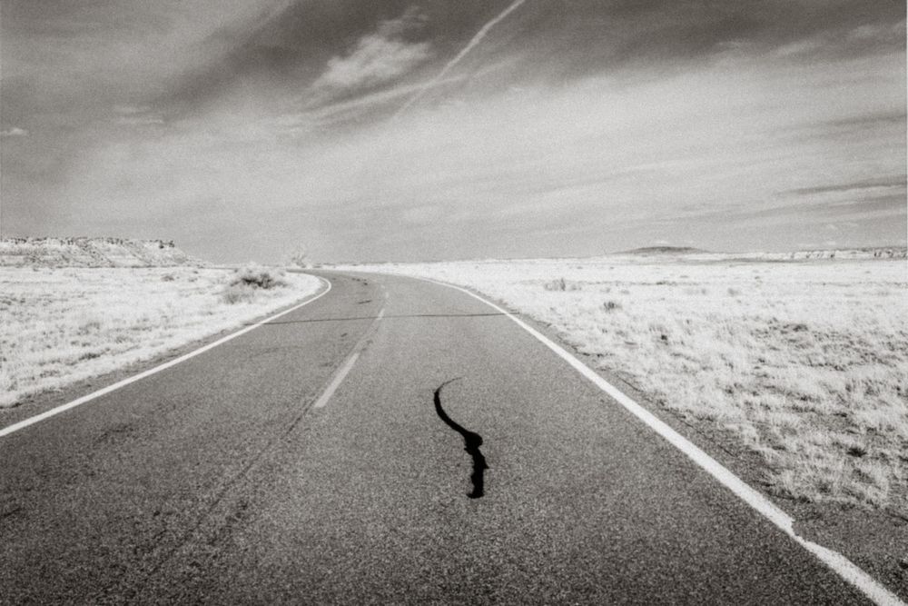 Black and white photo of a snake crossing a long empty desert highway under dramatic cloudy skies.