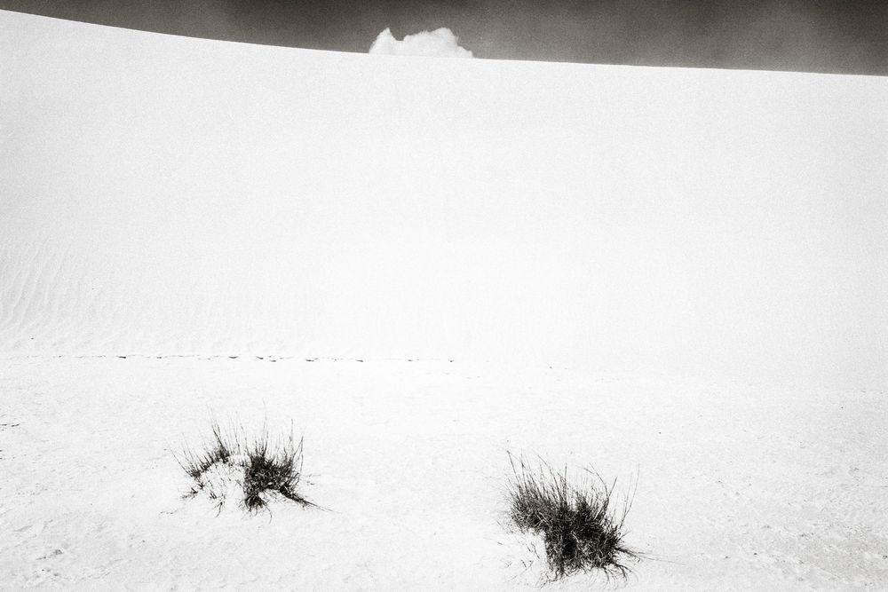 Sparse dark grass tufts emerge from a vast white snowy landscape with a misty hill in the background.