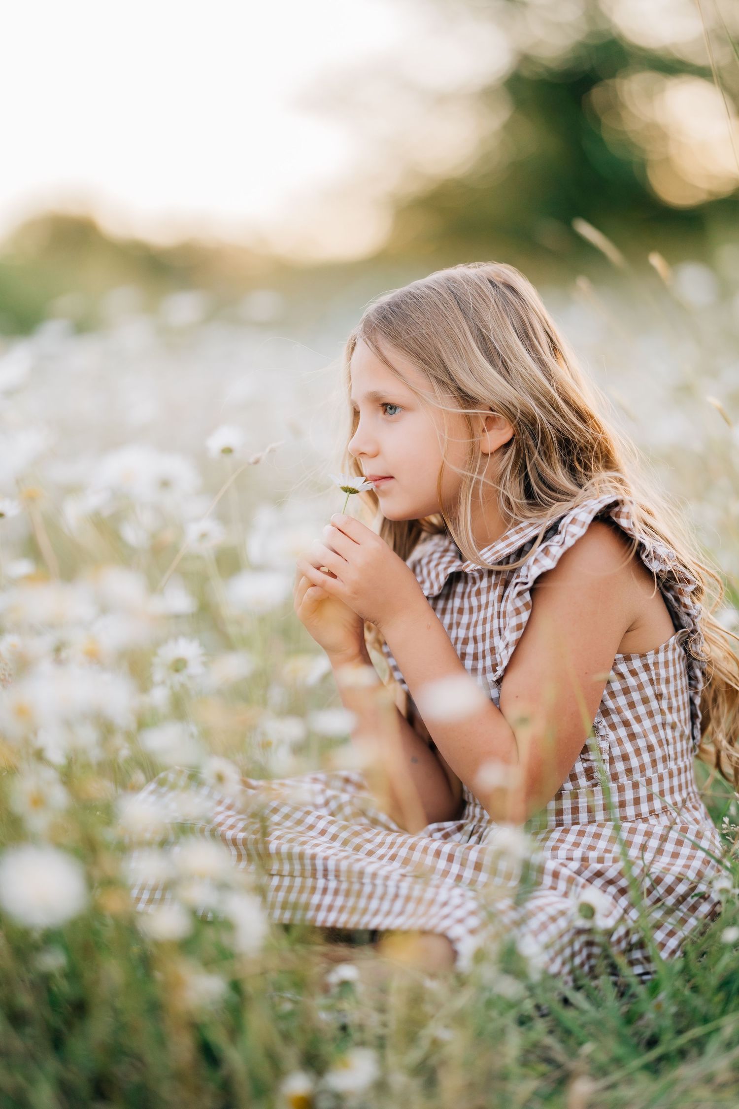 Young girl in plaid dress sitting in a field of daisies, holding a flower at golden hour.