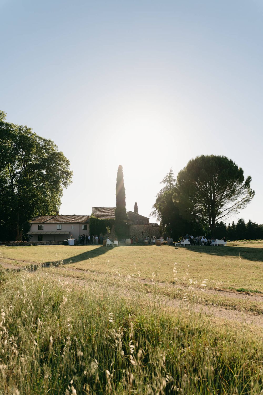 Sunlit Tuscan farmhouse with cypress tree, surrounded by green meadows and tall trees under a clear sky.