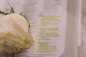 An open Bible with Spanish text beside a white rose, symbolizing faith and love at a wedding ceremony.