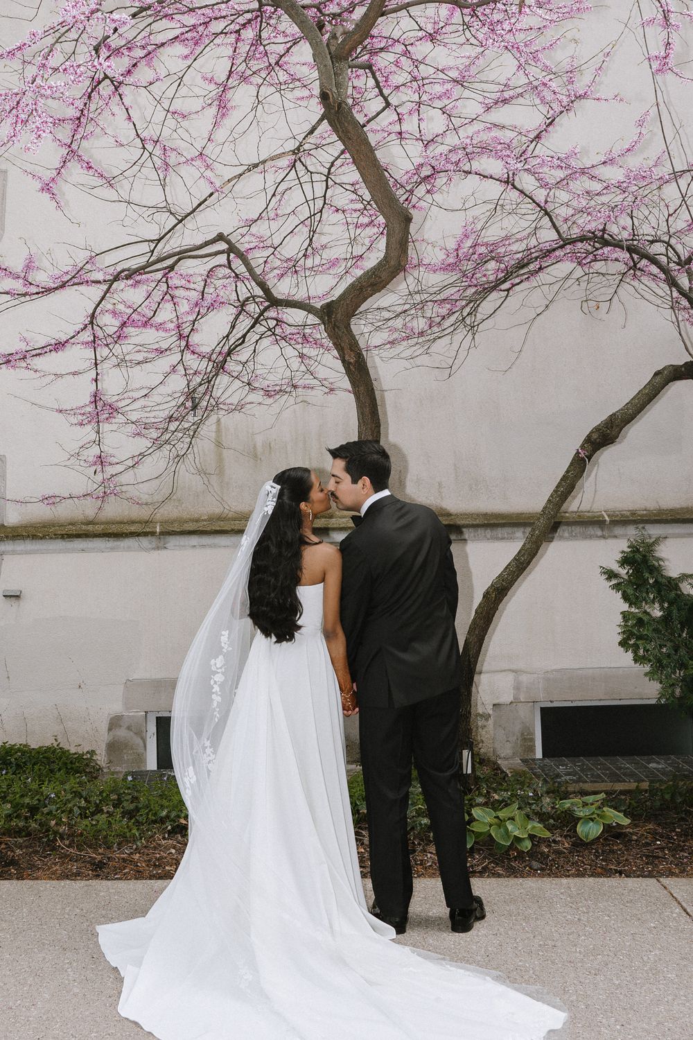 Bride and groom kissing under a blooming pink redbud tree, bride wearing a long white gown with veil.