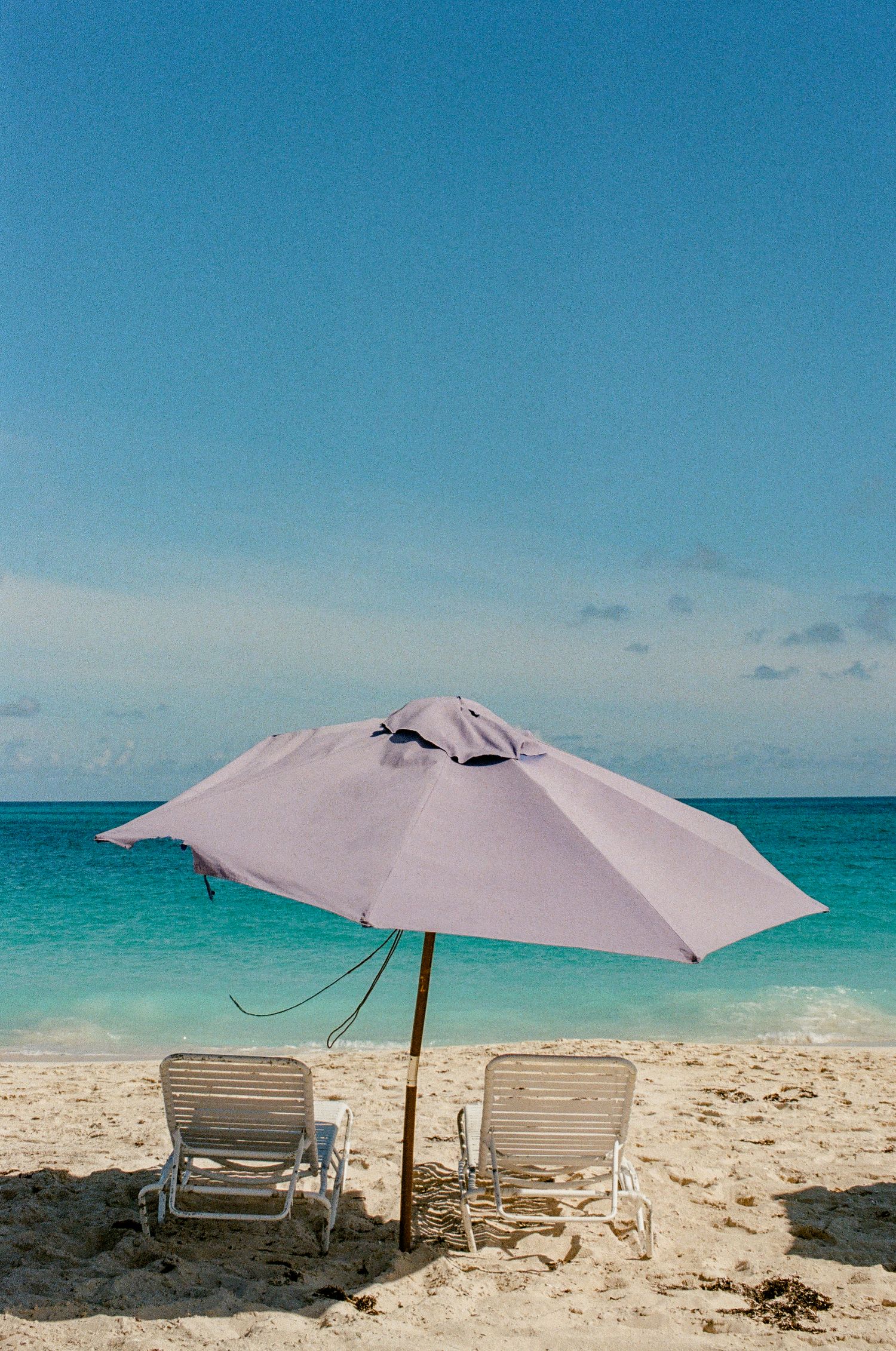 Tropical beach view framed by palm tree fronds and lush greenery, with turquoise ocean waters under a blue sky.