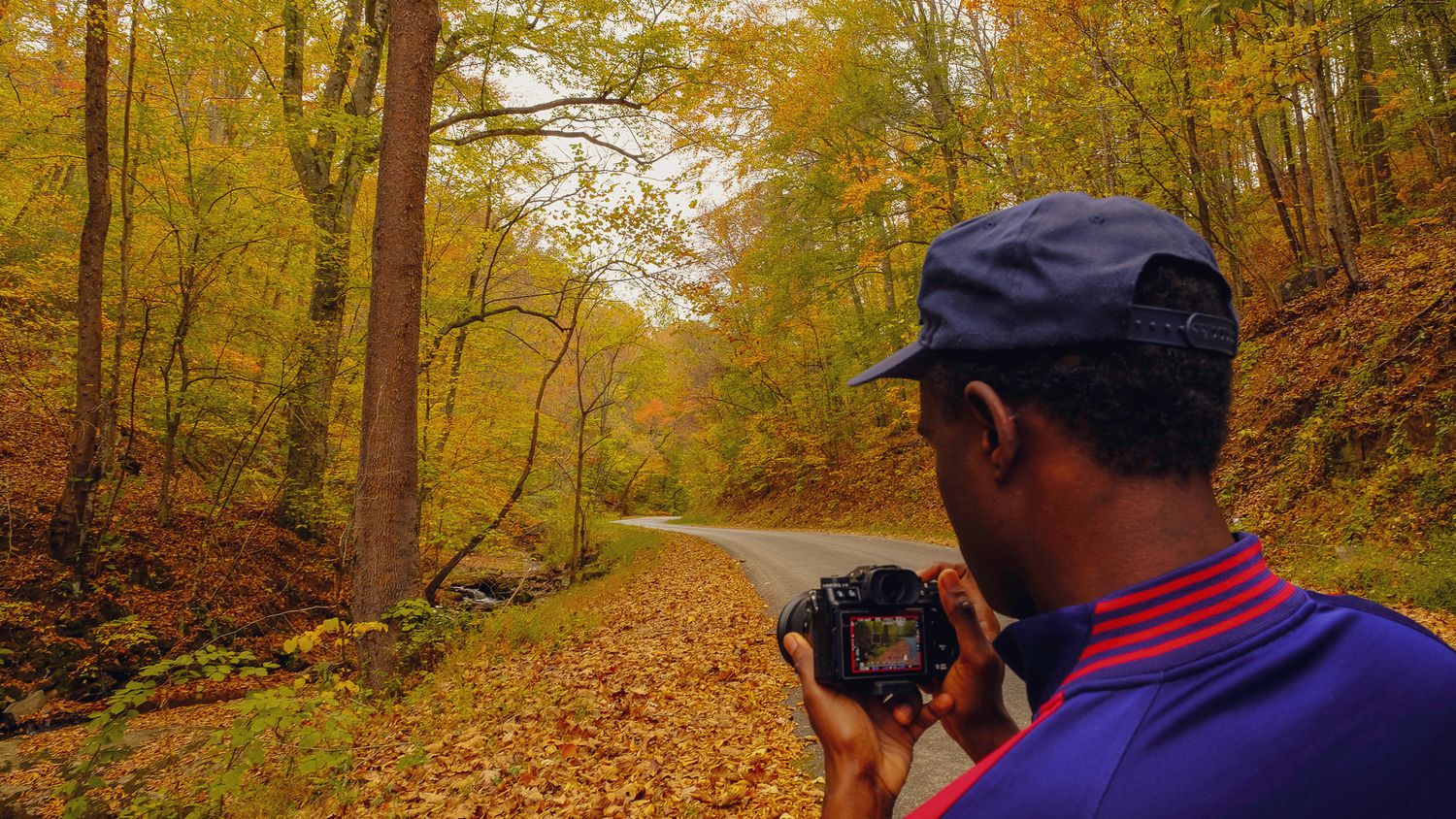 Photographer capturing autumn forest road surrounded by golden foliage on a scenic woodland path.