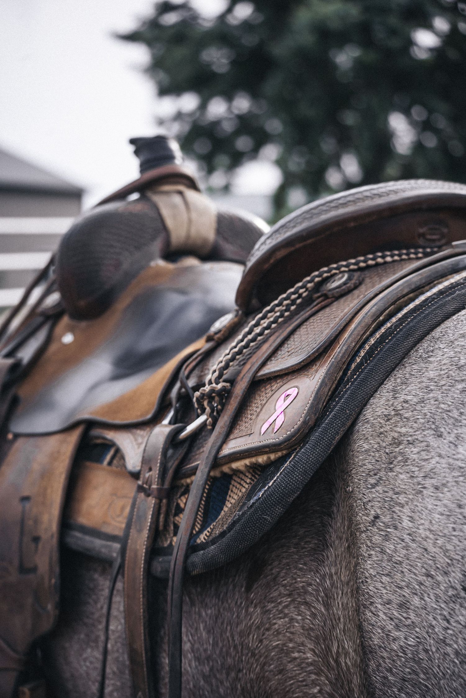 Ranch saddle on horse
