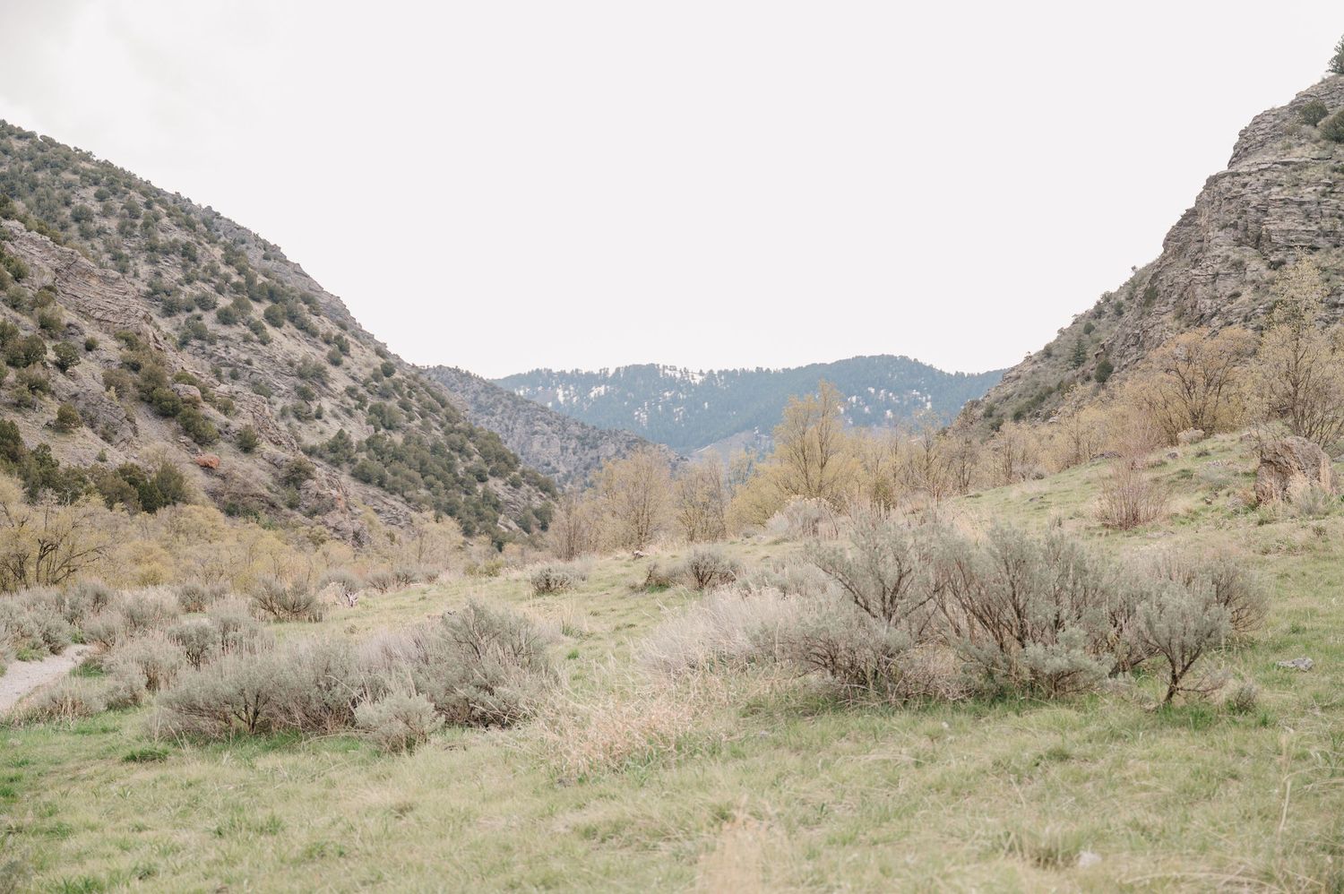 A scenic mountain valley with scrubby vegetation and rolling hills in the background under an overcast sky.