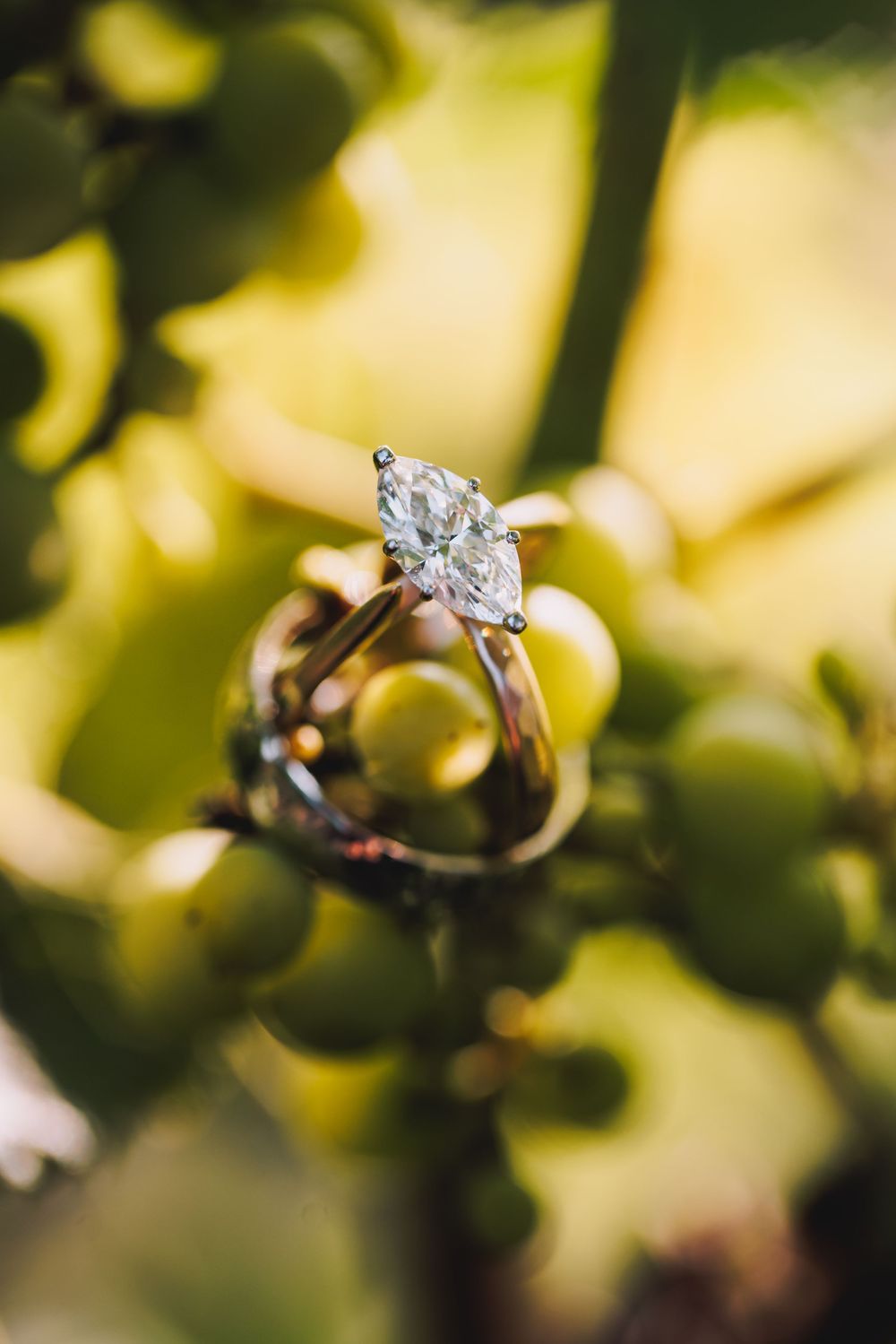Marquise diamond engagement ring resting on green grape vine clusters in soft natural light.