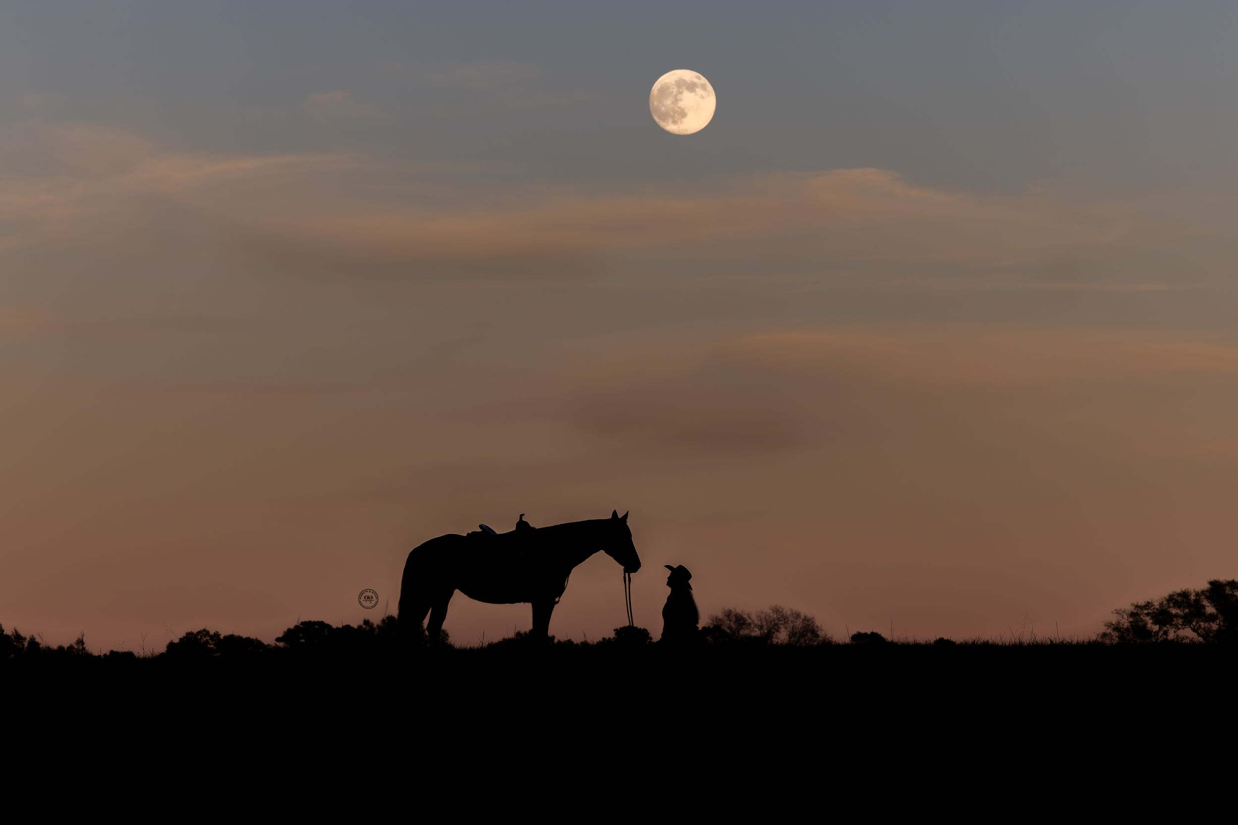 Silhouette of a person and horse standing under a full moon at dusk with a warm orange sky.