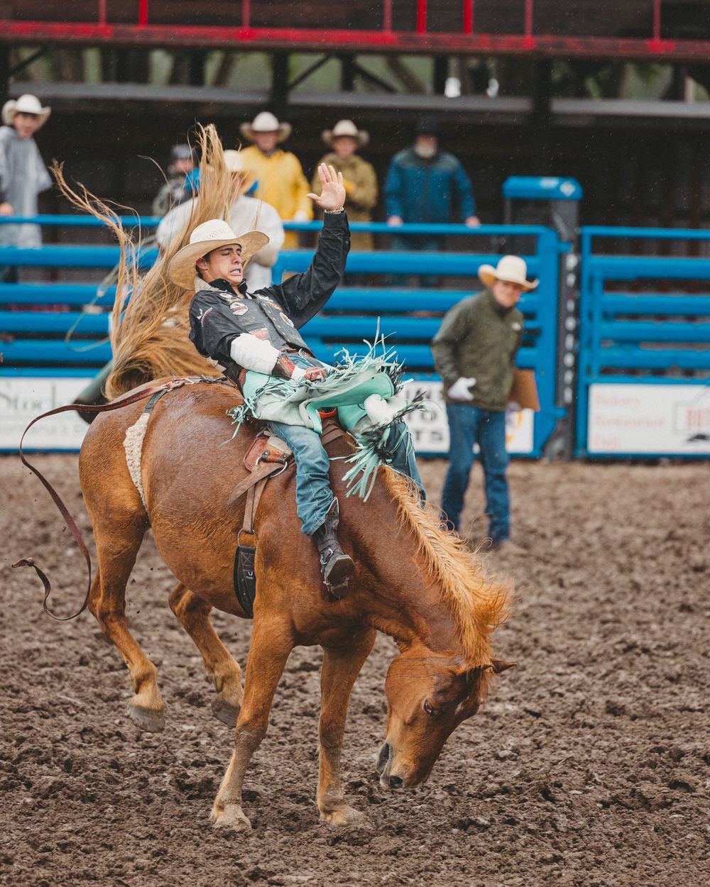 Bareback rider  rides a bucking bronco with one hand raised at a rodeo competition, wearing a white hat and chaps.
