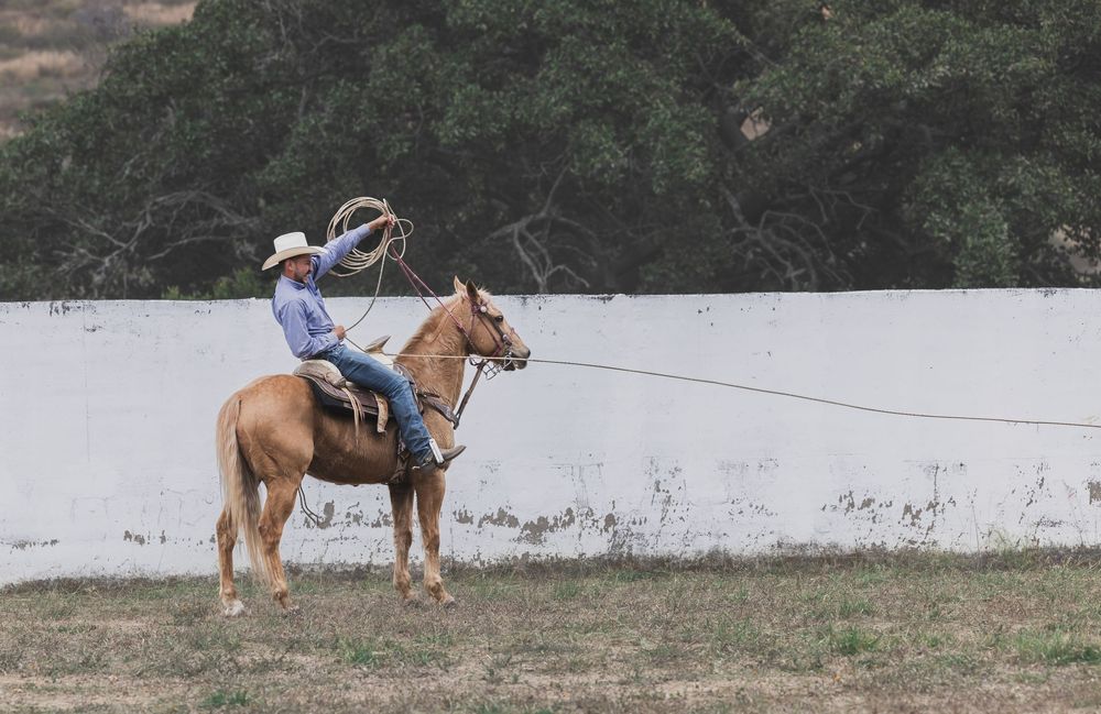 Cowboy on horseback holding a lasso rope in a ranch arena with green trees in the background.