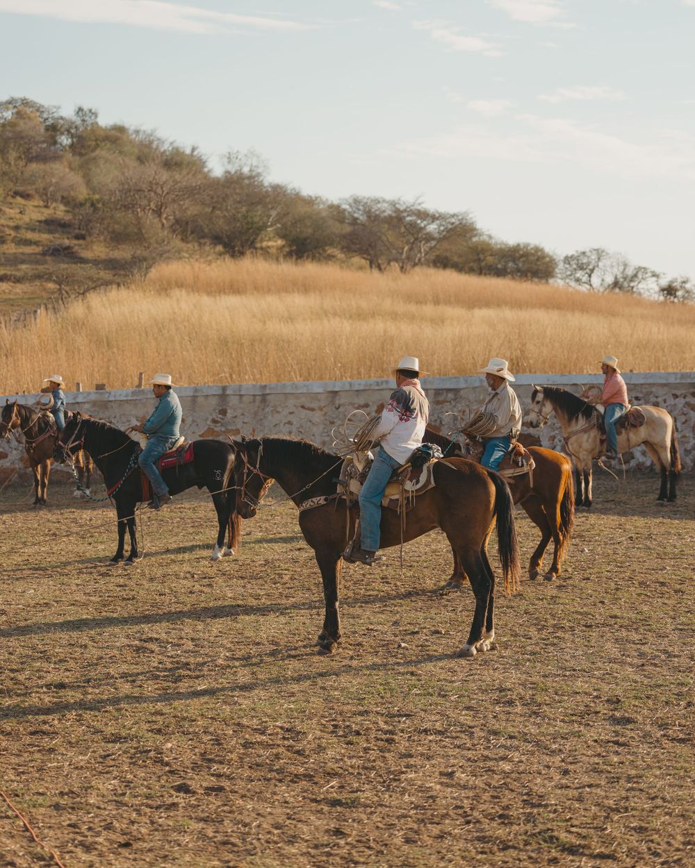 Cowboys on horseback ride through a dry ranch field with golden grass hills and a stone wall in the background. Old Mexico Vibes.