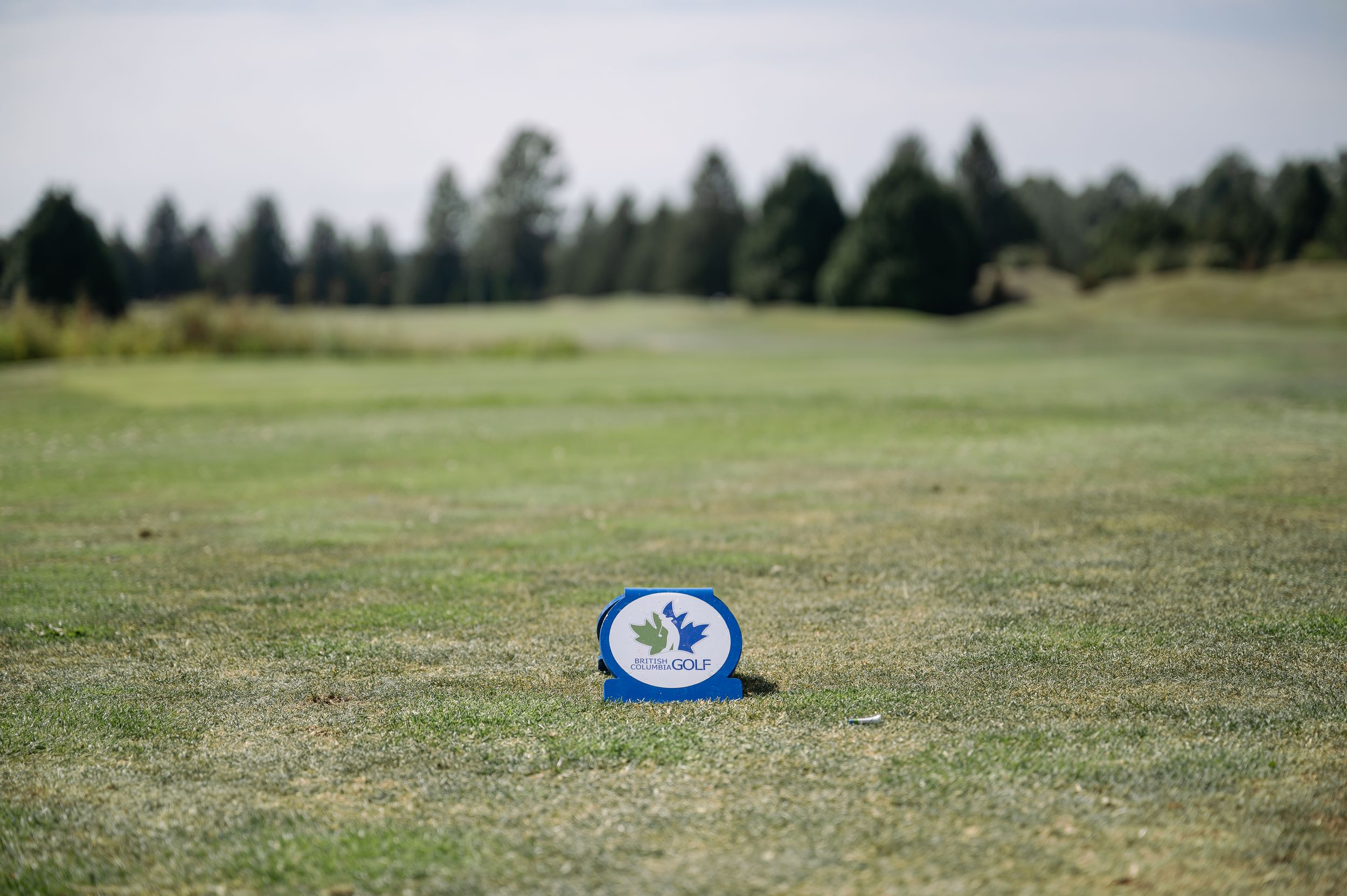 Blue golf course marker on a lush green fairway with trees in the background on a sunny day.