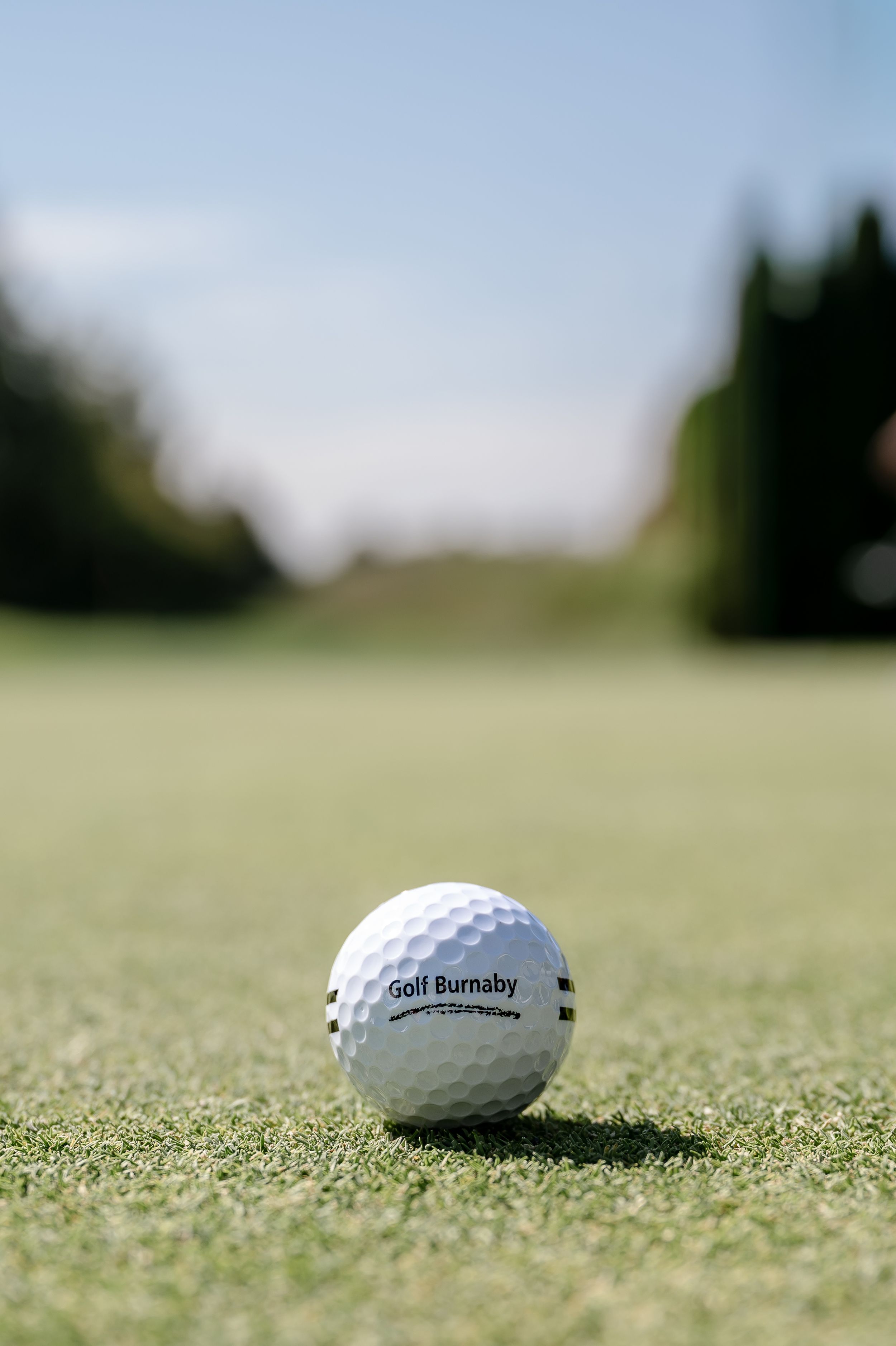 A Golf Burnaby branded white golf ball resting on lush green fairway grass with trees and blue sky in background.