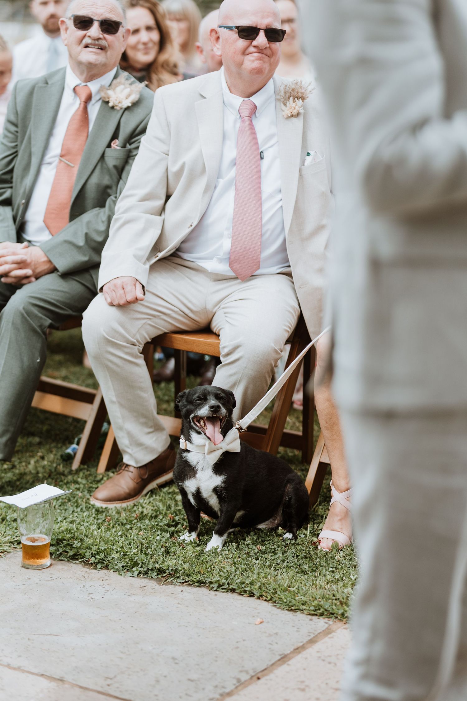 A black and white dog sits on grass at an outdoor wedding ceremony, held on a leash by a seated guest in a beige suit.