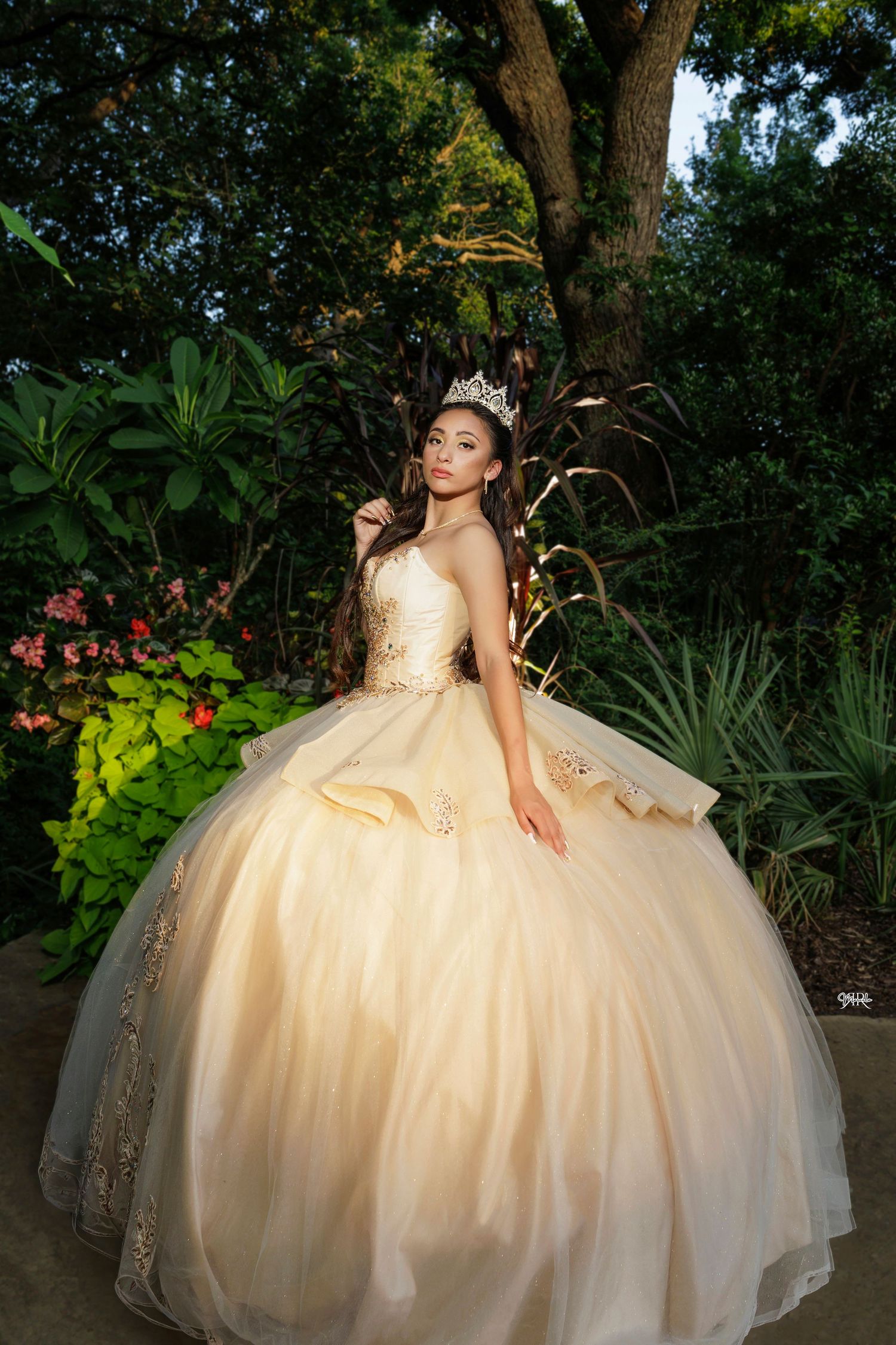 Quinceañeras, Weddings, corporate events, family Photography ande video. Dallas TX 469-386-2555 Bilingual (Spanish & English)
