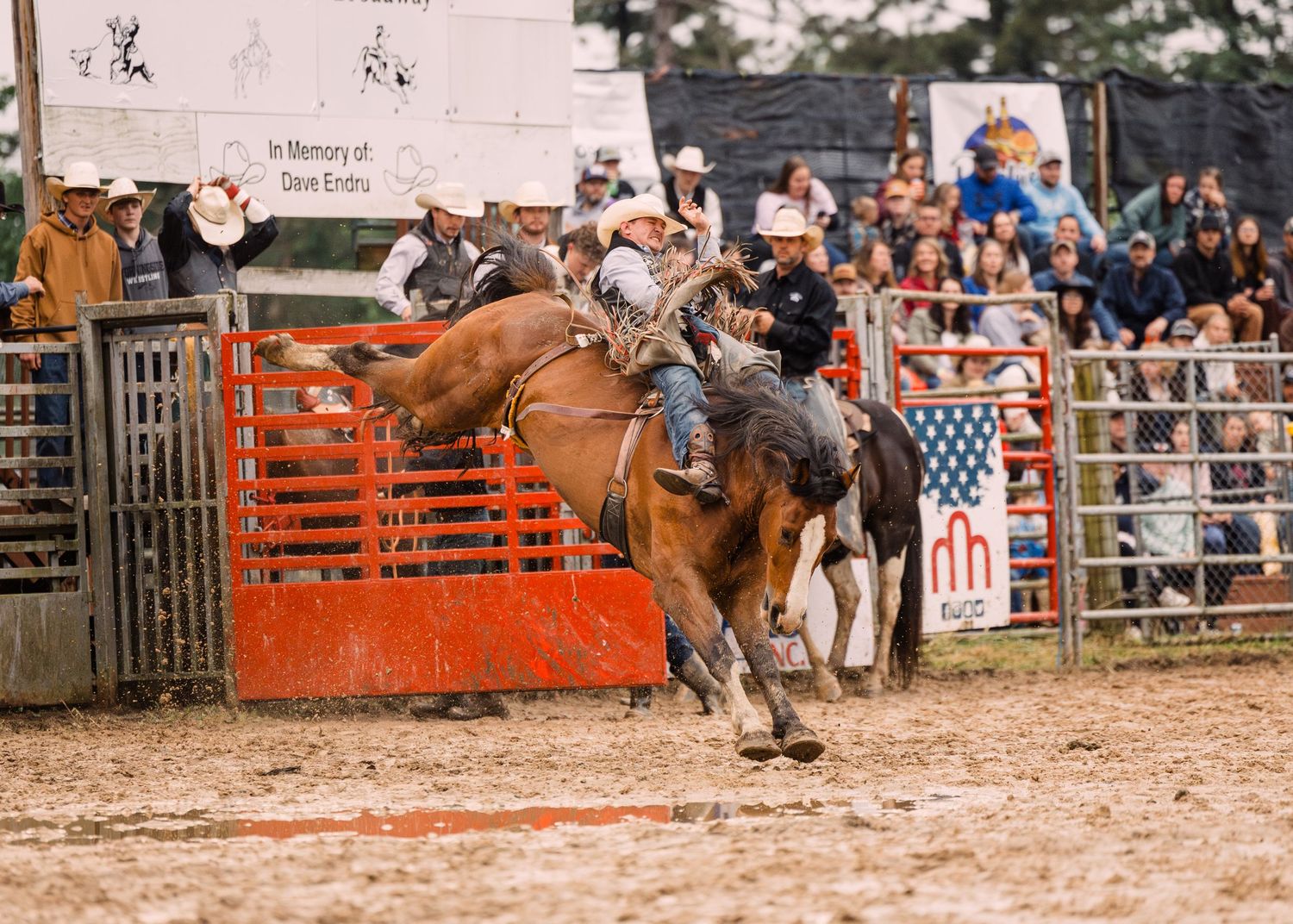 Cowboy rides a bucking bronco in a muddy rodeo arena while spectators watch from behind the fence.