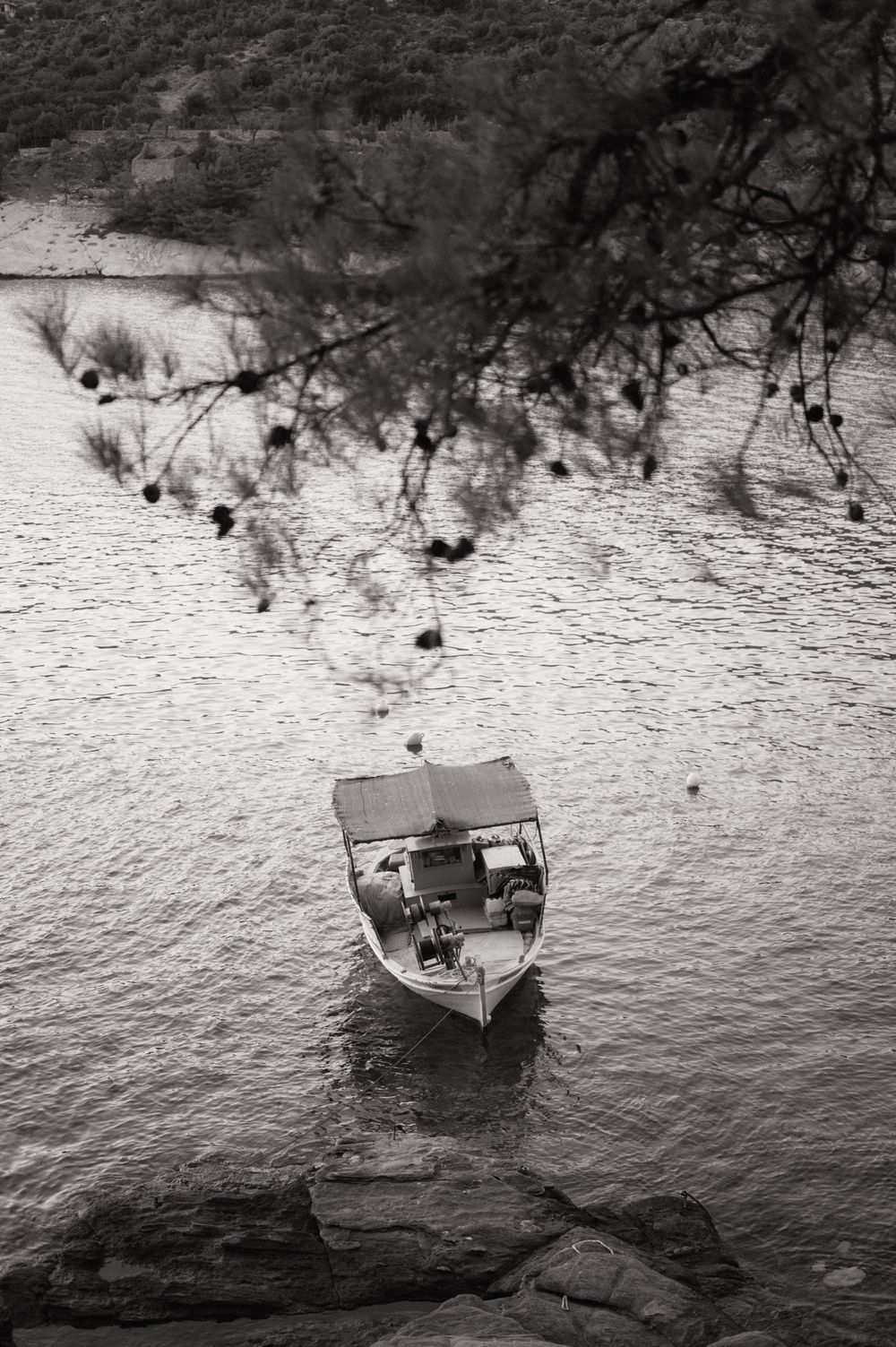 Black and white aerial view of a small motorboat anchored near rocky shore, with tree branches framing the calm water.