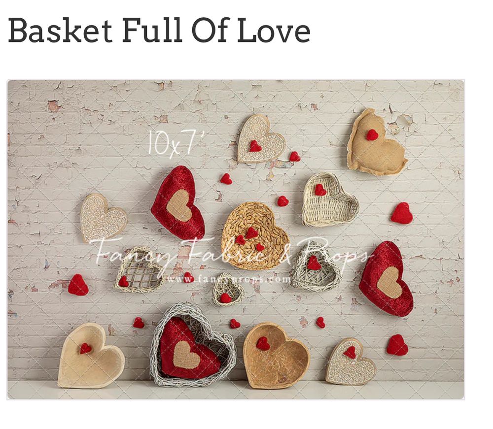 Full of Love fleece backdrop  size-10x7  used once