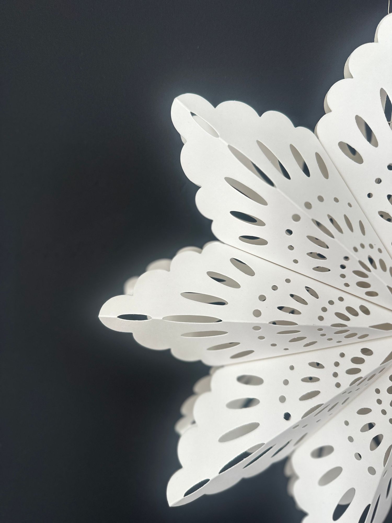 White paper snowflake with intricate cut-out patterns and scalloped edges against a dark gray background.