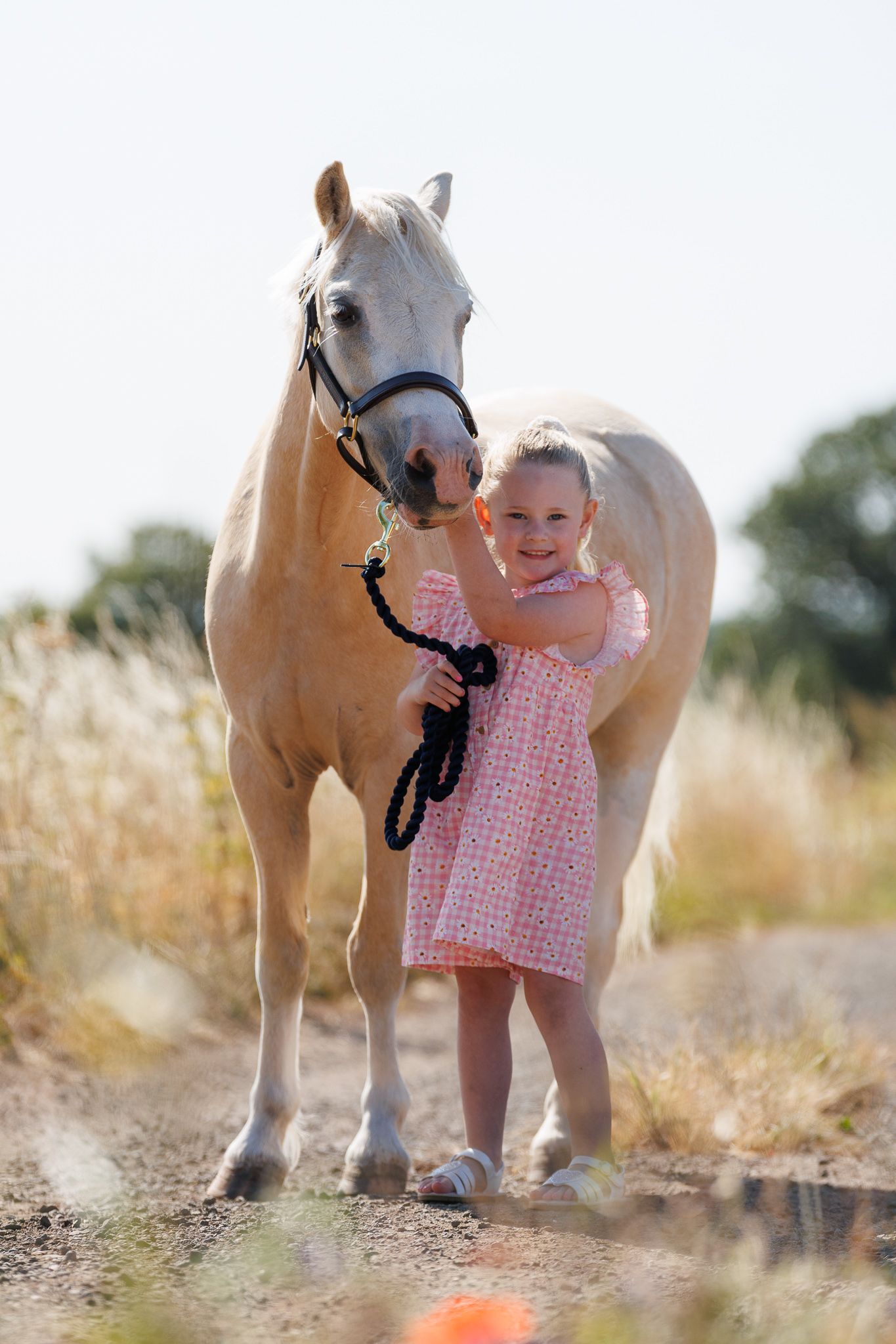 A smiling couple stands with a black and white horse and small dog in front of a white van on a farm.