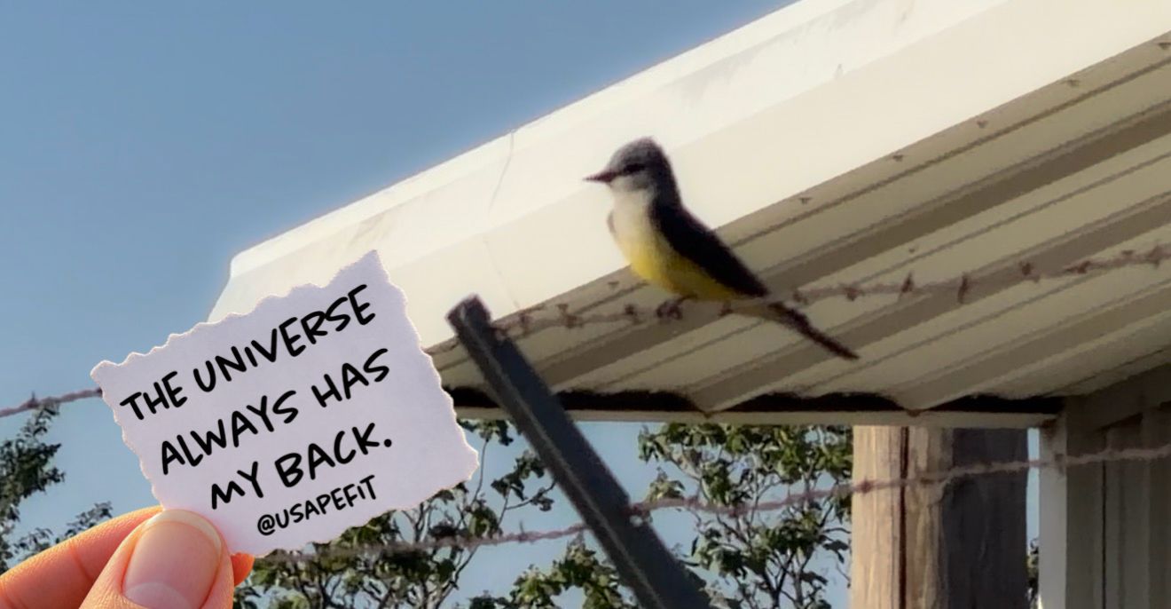 Hand holding motivational note saying universe always has my back near a bird perched on a rooftop under blue sky.