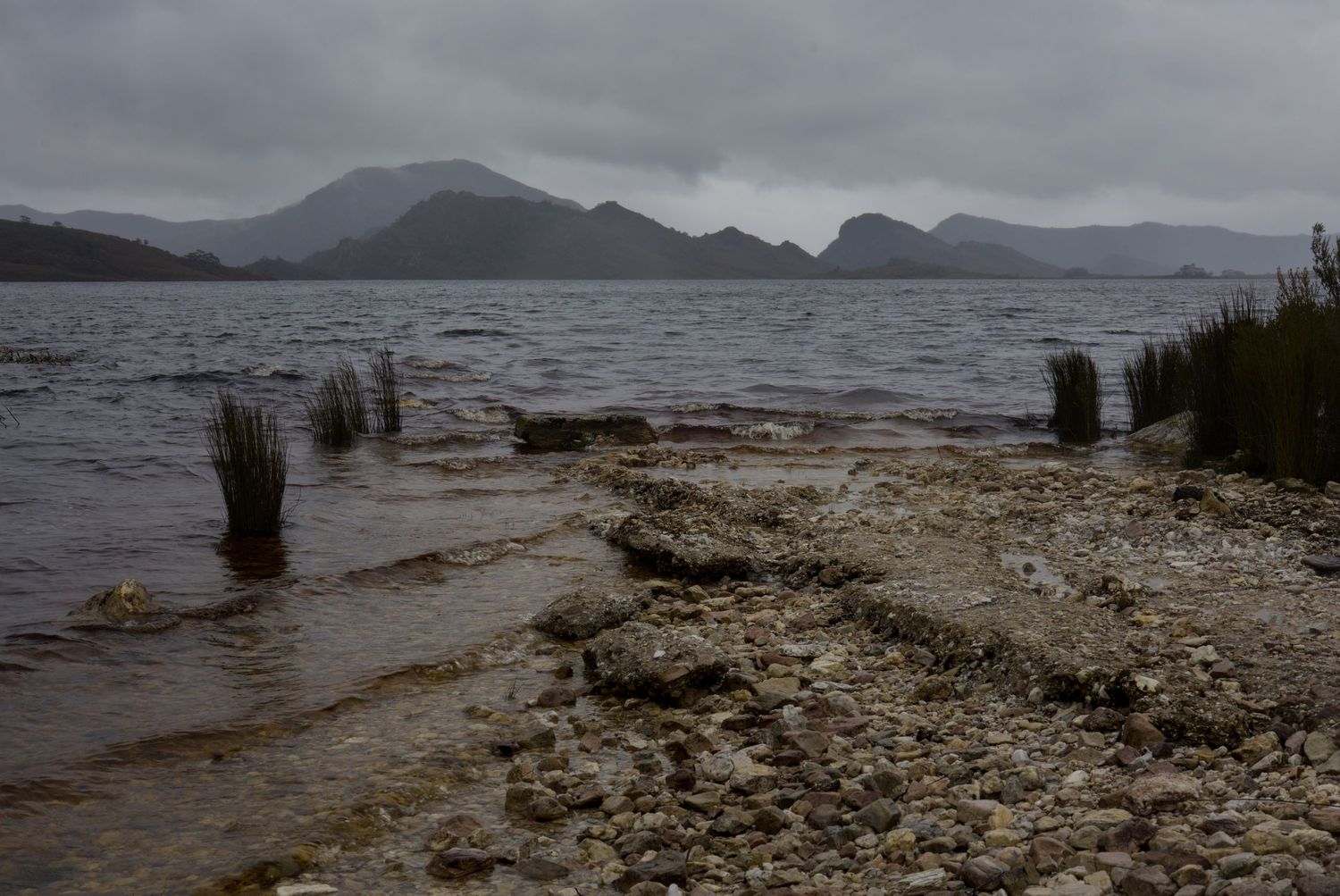 Moody overcast sky over a calm lake with a rocky pebble shoreline, tufts of grass in the water, and misty mountains in the distance.