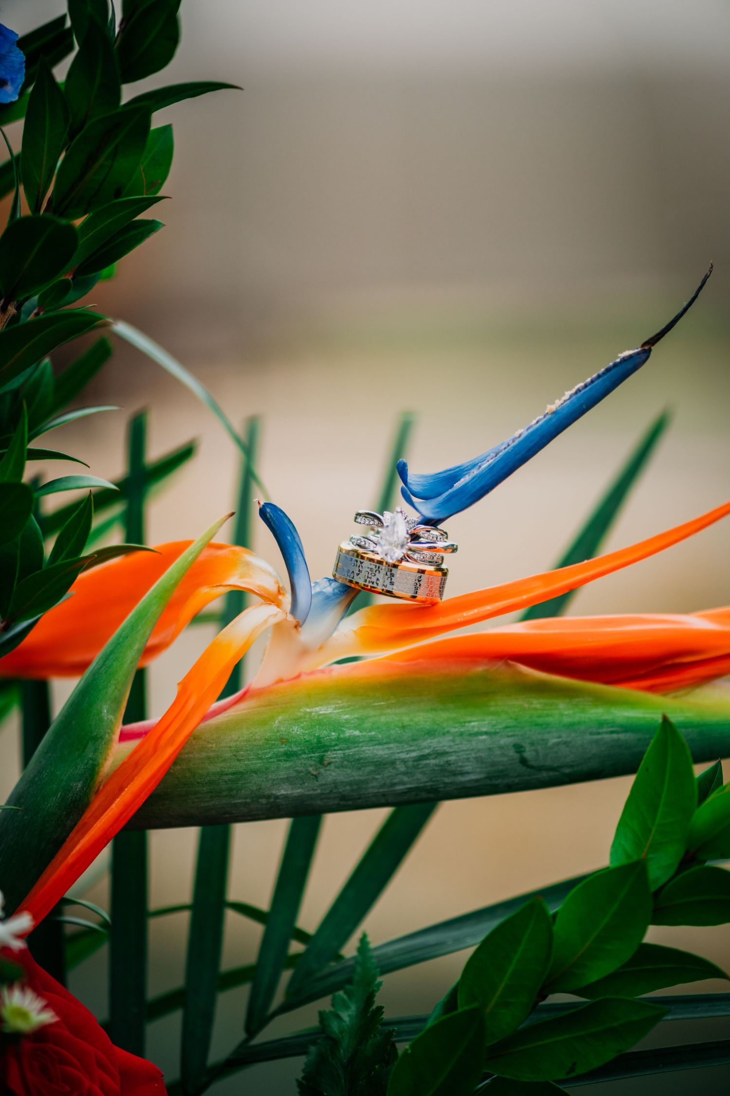 A LEGO minifigure sits perched atop a vibrant orange Bird of Paradise flower against blurred green foliage.