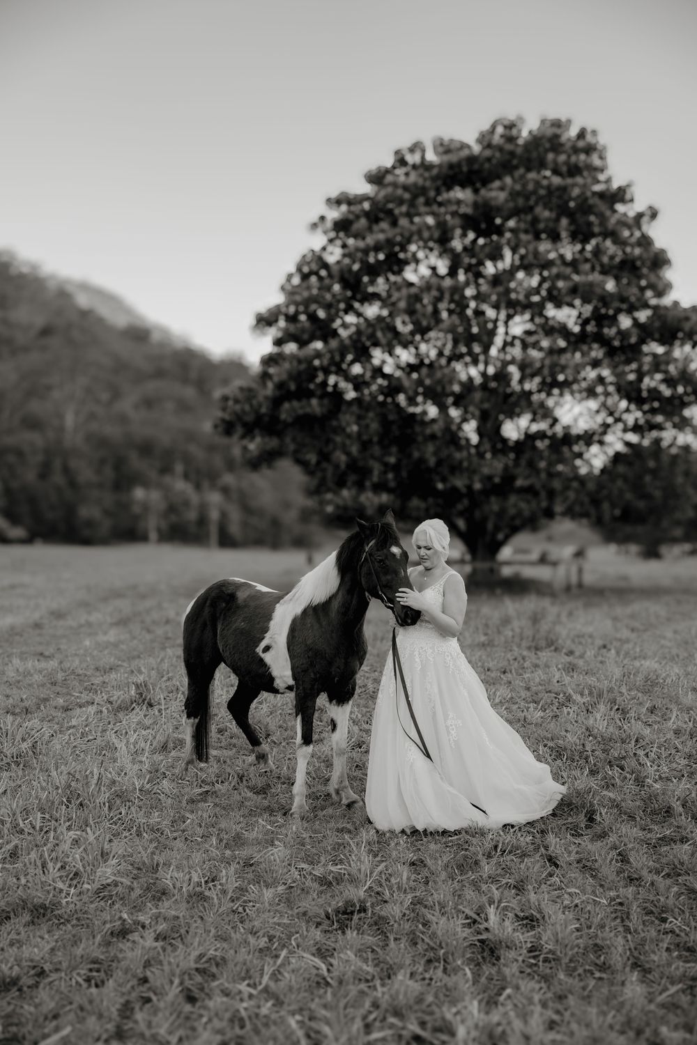Bride in white gown stands with a small horse in a pastoral field, large tree and hills in black and white.