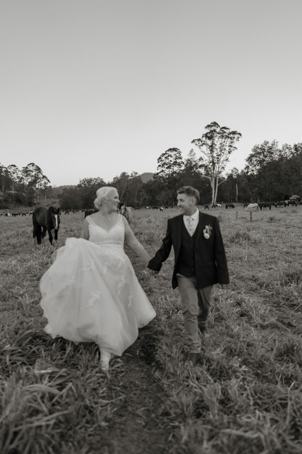 Black and white photo of a bride and groom holding hands walking through a rural field with cattle grazing in the background.