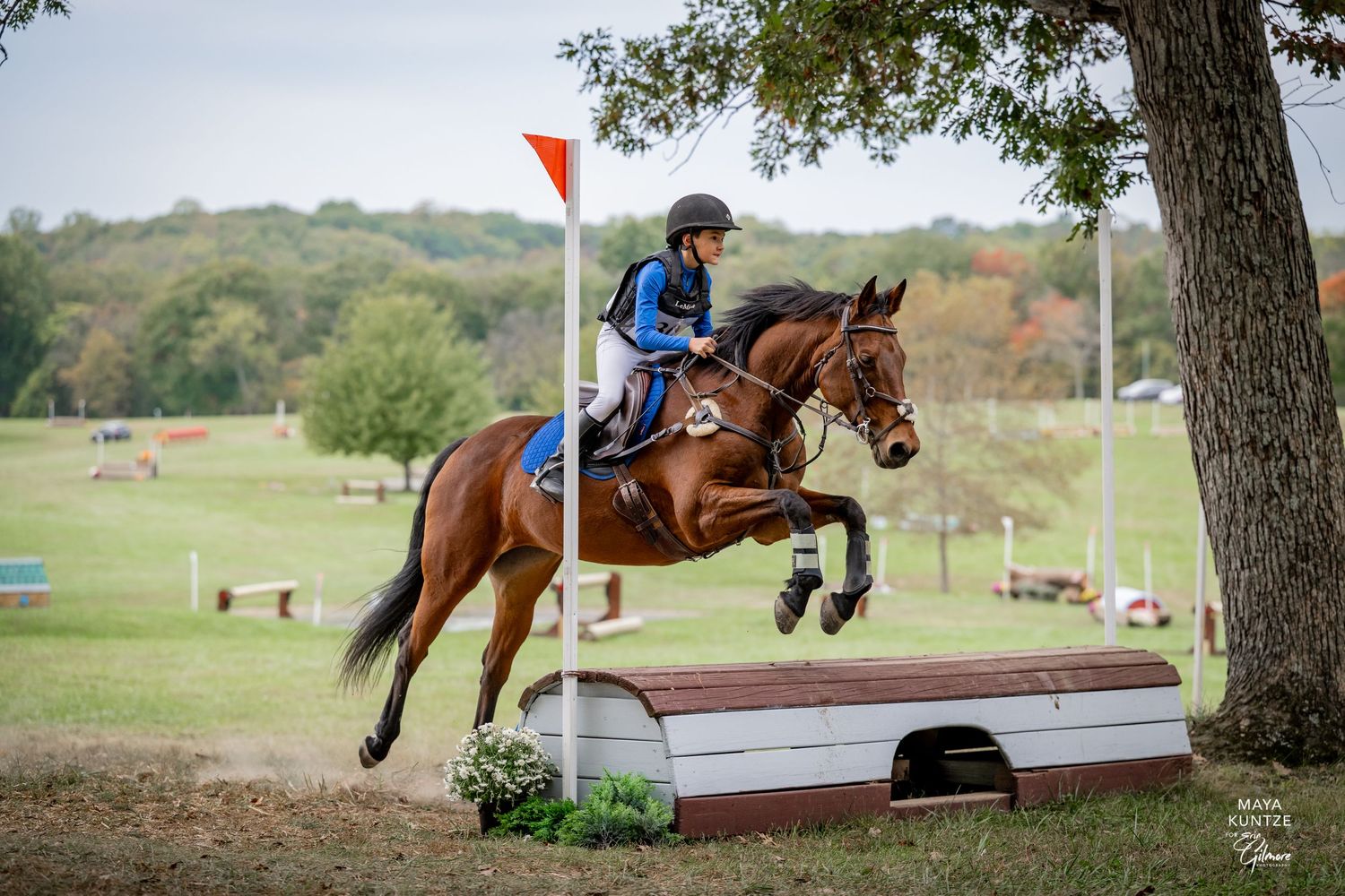 Equestrian rider on chestnut horse jumping over wooden obstacle during cross-country eventing competition outdoors.