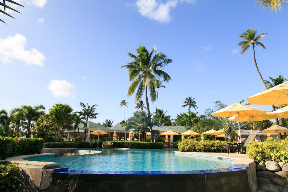 Tropical resort pool surrounded by palm trees, yellow umbrellas, and lush greenery under a bright blue sky.