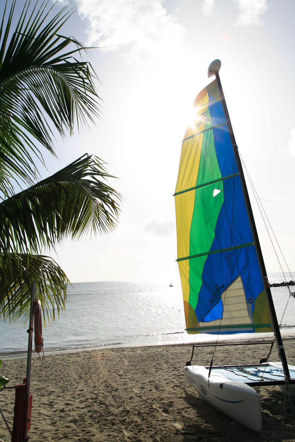 Colorful sailboat with yellow, green, and blue sail on a tropical sandy beach with palm trees and calm ocean waters.