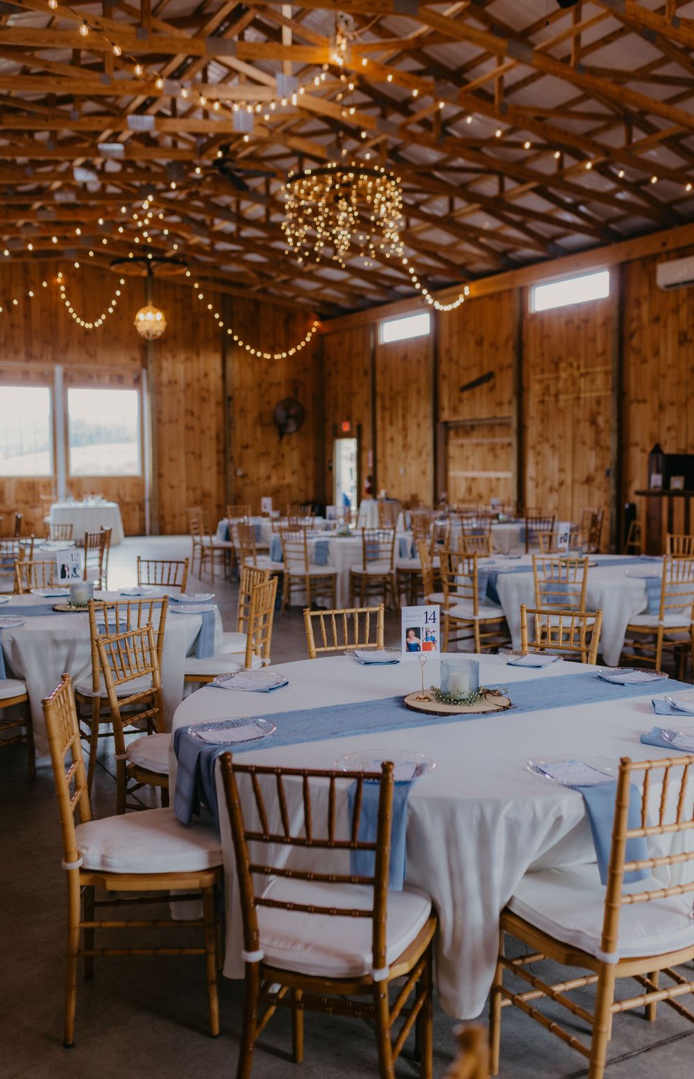 Rustic barn wedding reception with gold Chiavari chairs, light blue tablecloths, and warm string lights overhead.