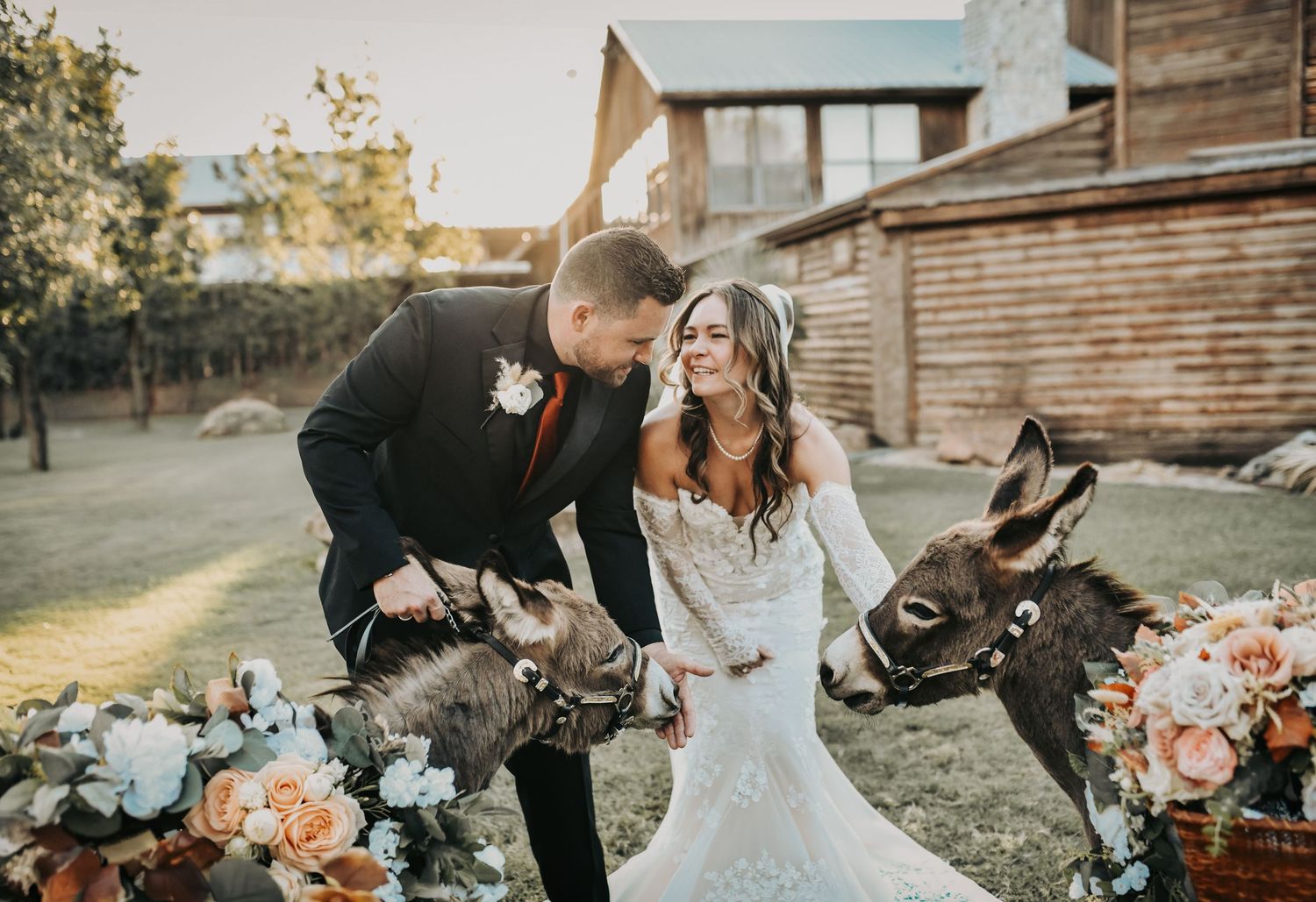 Wedding party photographed with donkeys at a Texas ranch wedding